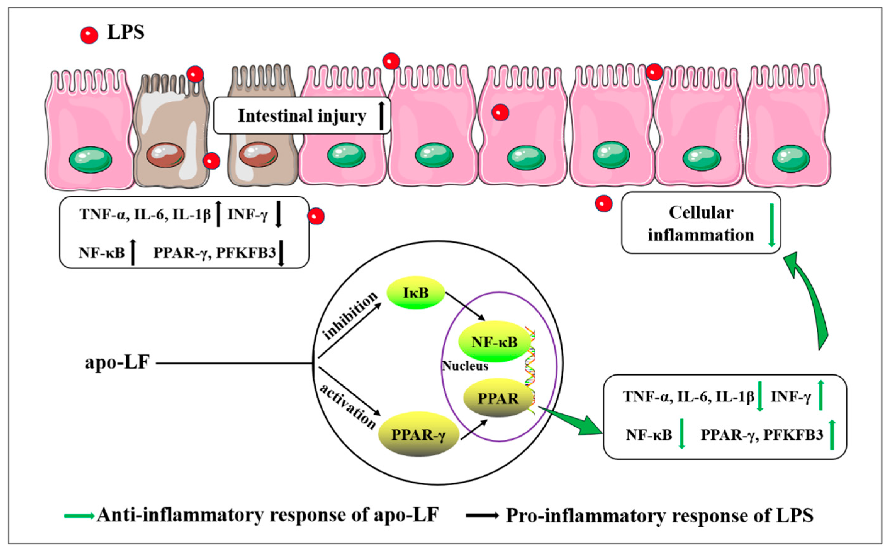 Foods 11 03378 g006 Foods 11 03378 g006