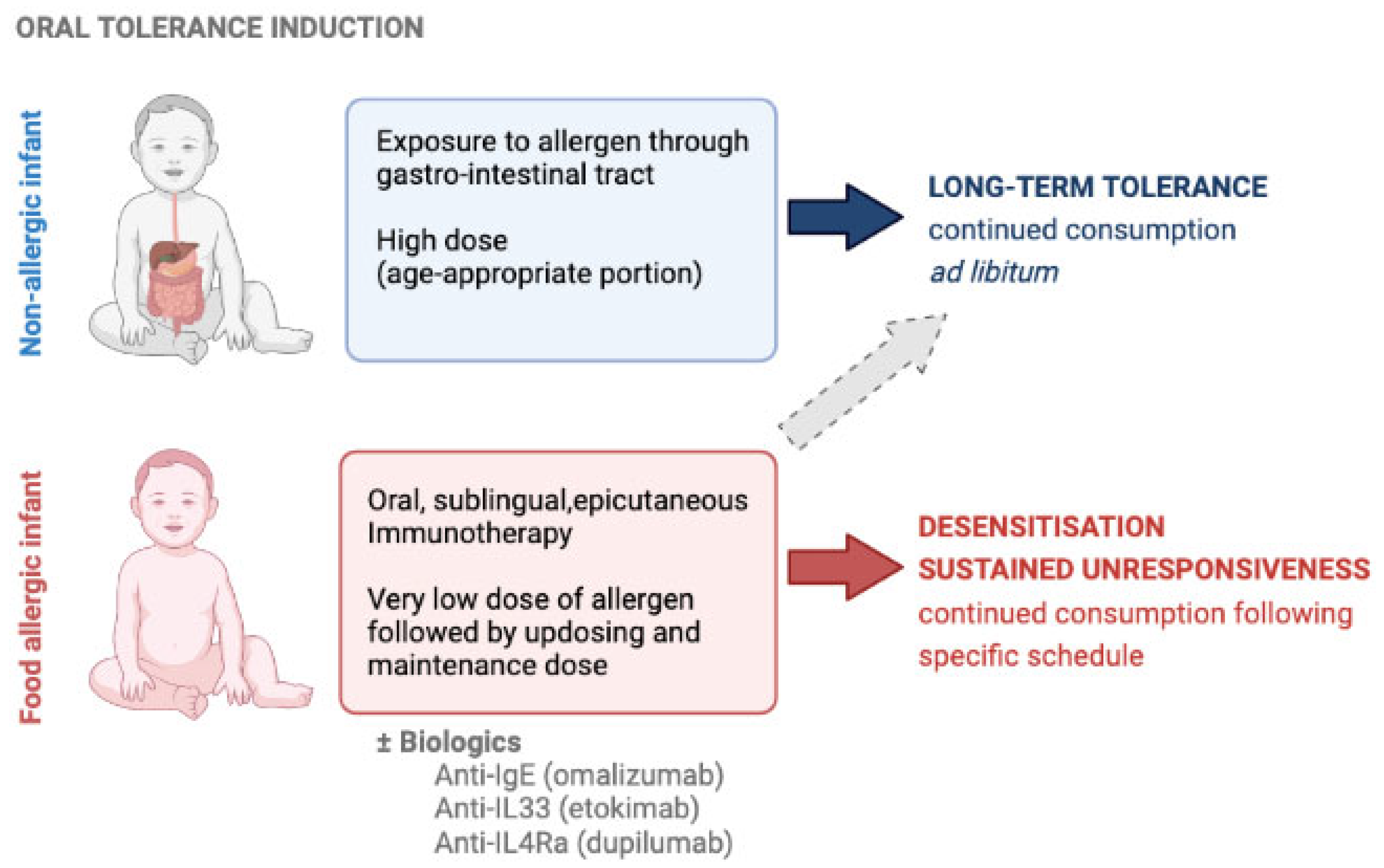 Oral Tolerance Induction—Opportunities and Mechanisms