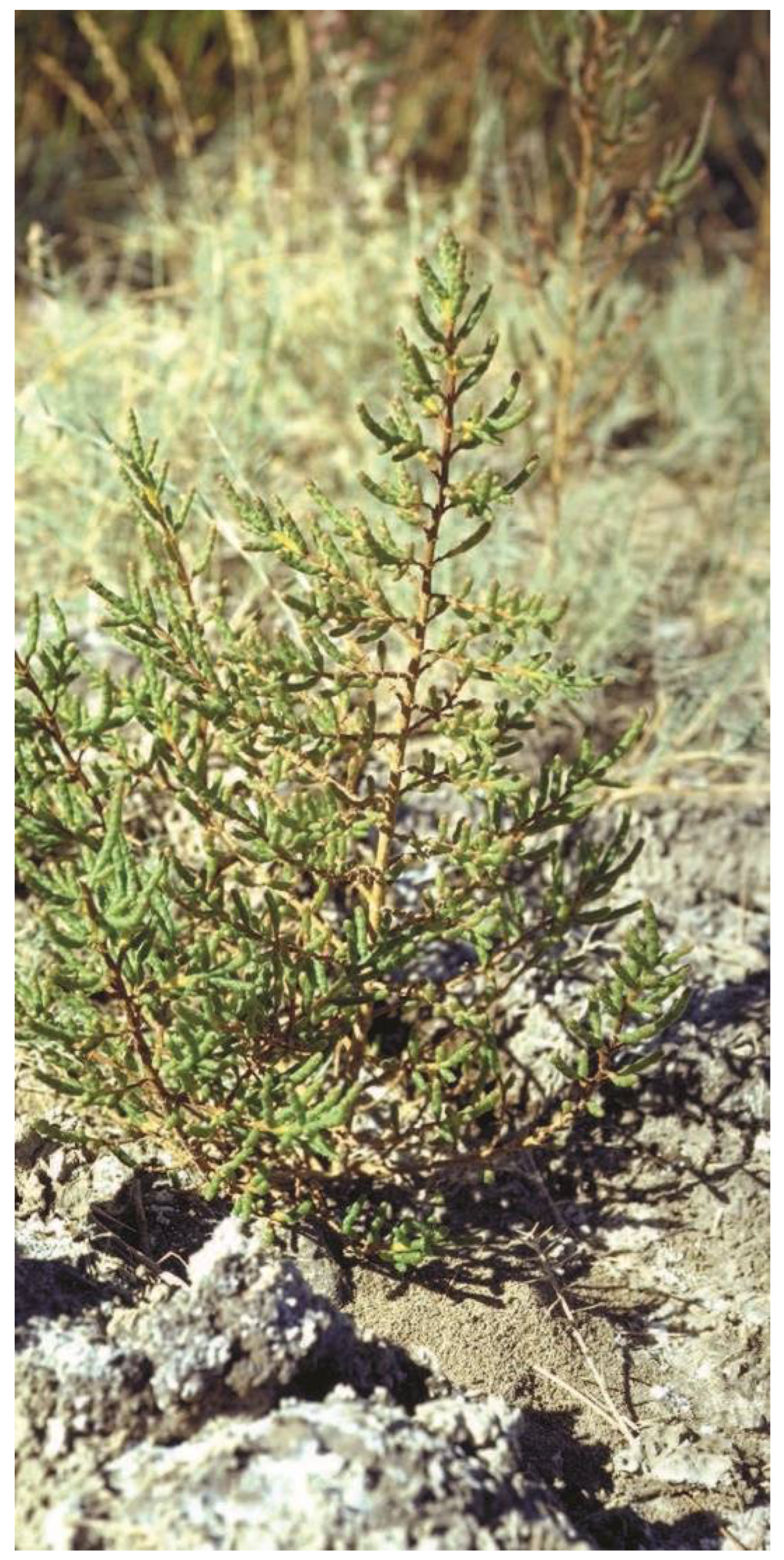 Foods 11 03402 g003 Foods 11 03402 g003