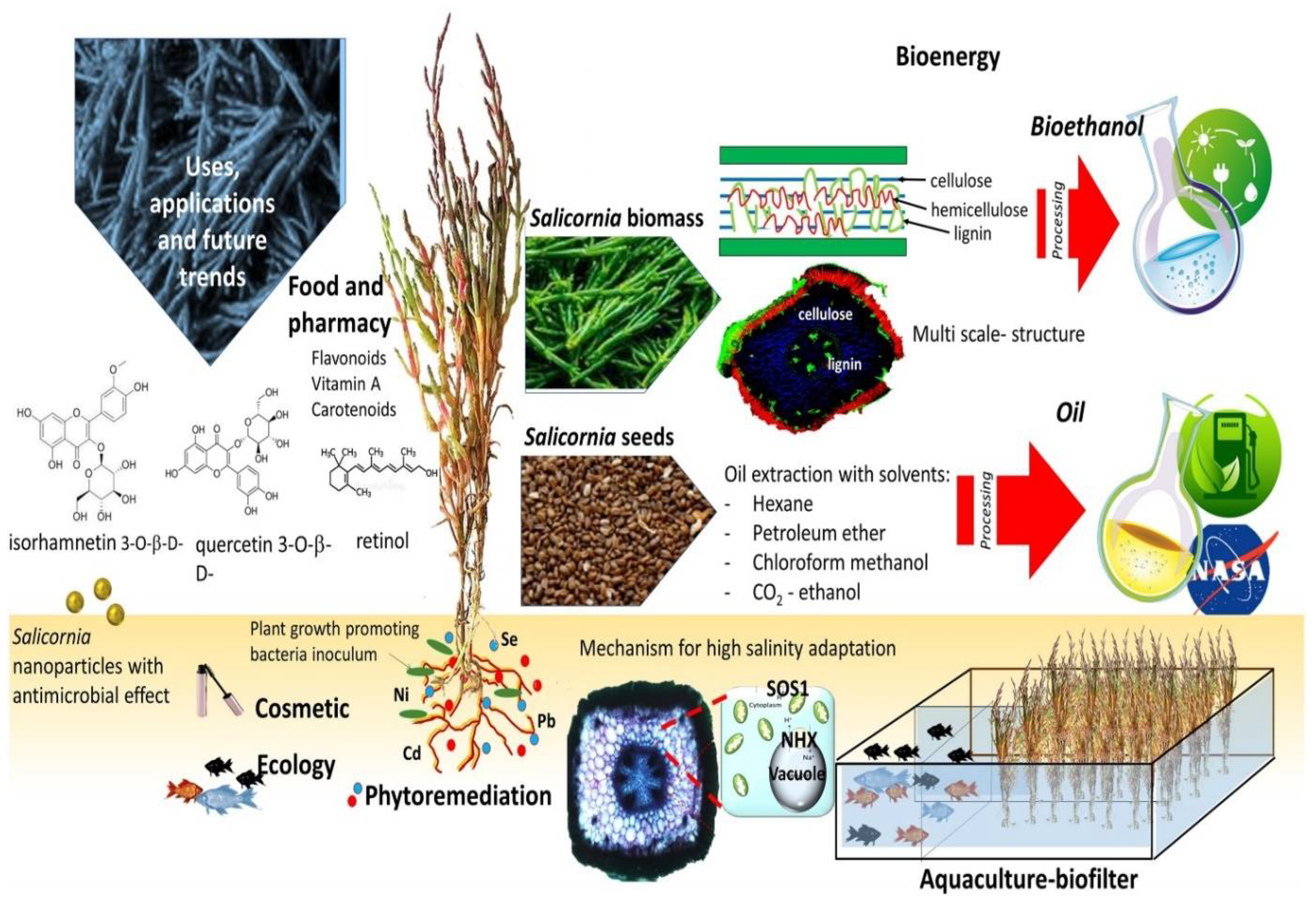 Foods 11 03402 g004 Foods 11 03402 g004