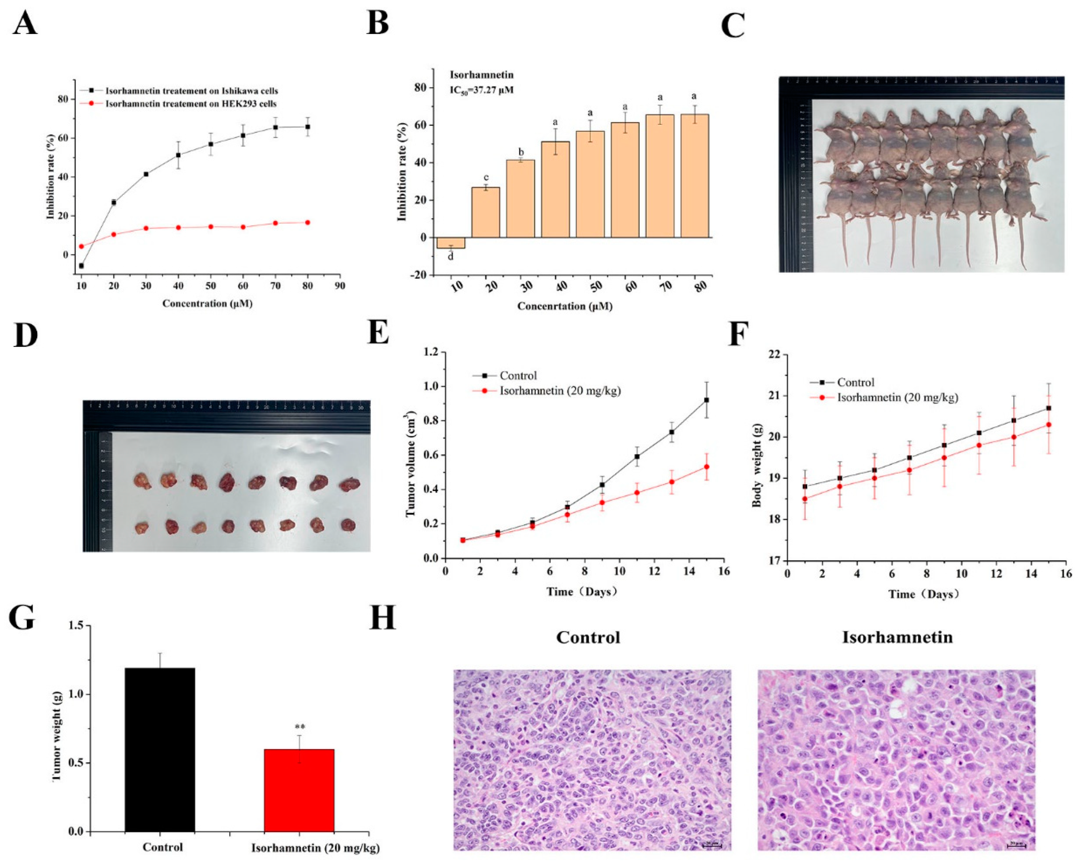 Foods 11 03415 g001 Foods 11 03415 g001