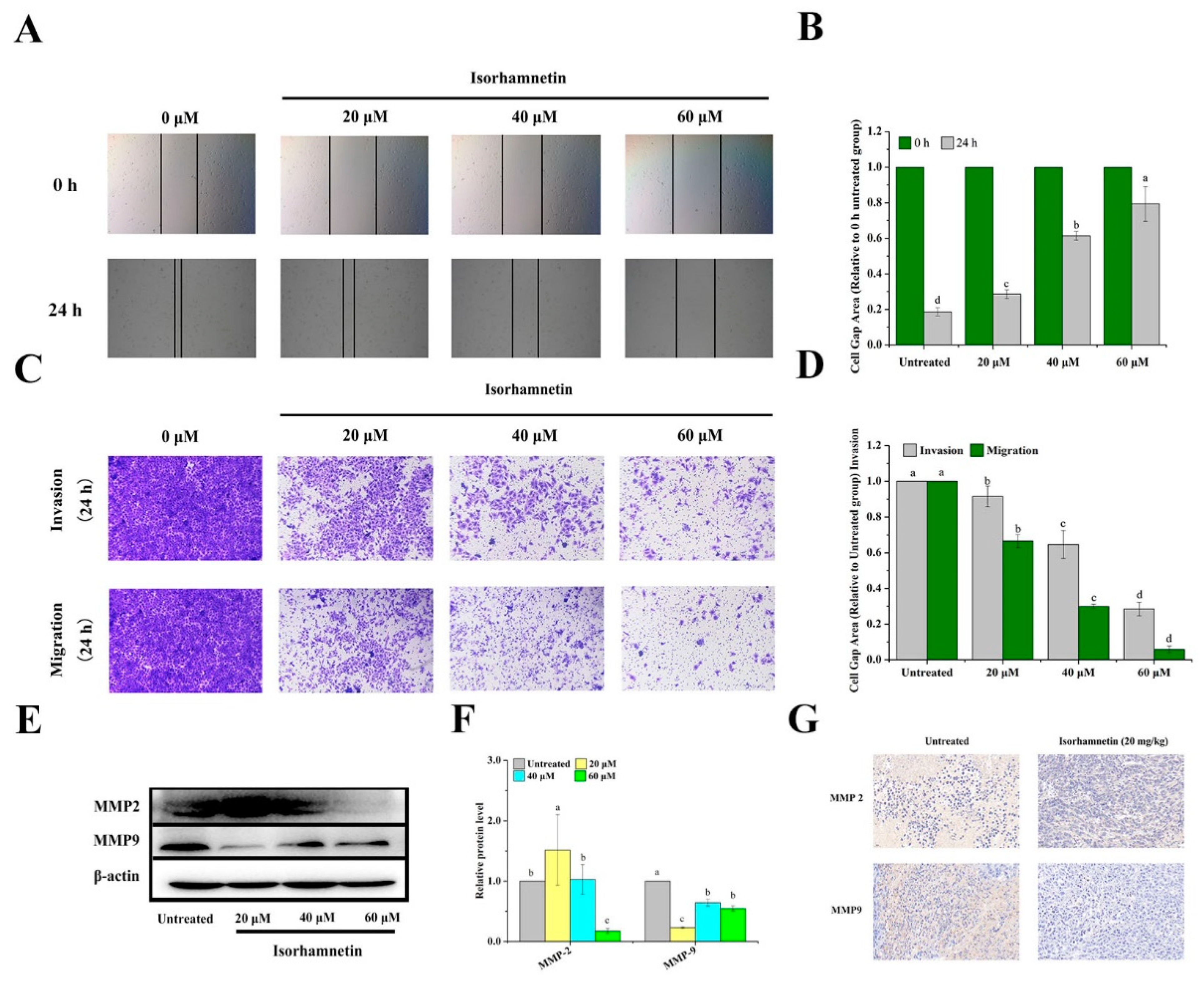 Foods 11 03415 g009 Foods 11 03415 g009