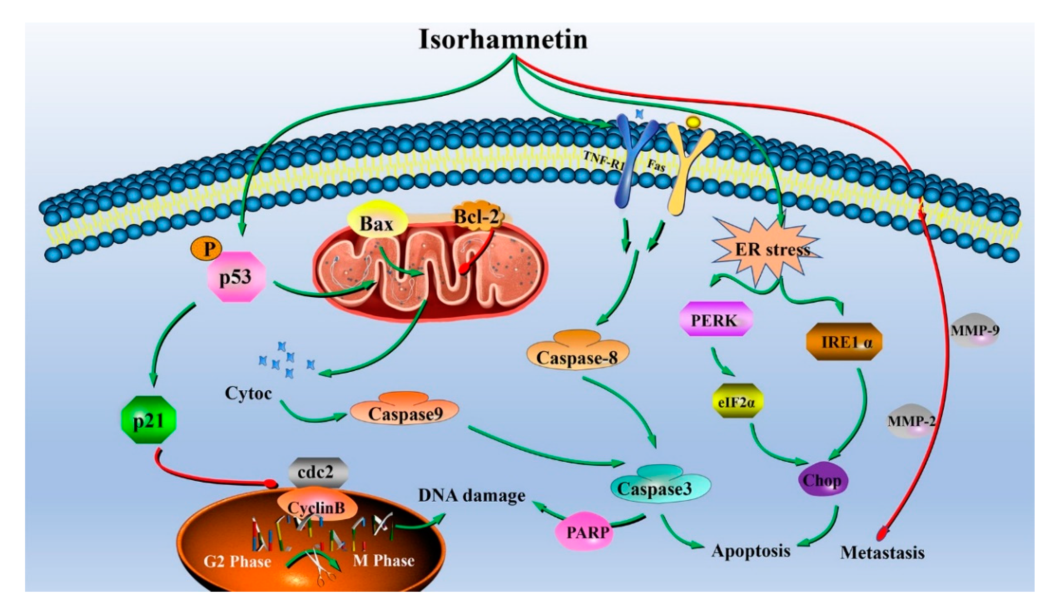 Foods 11 03415 g010 Foods 11 03415 g010