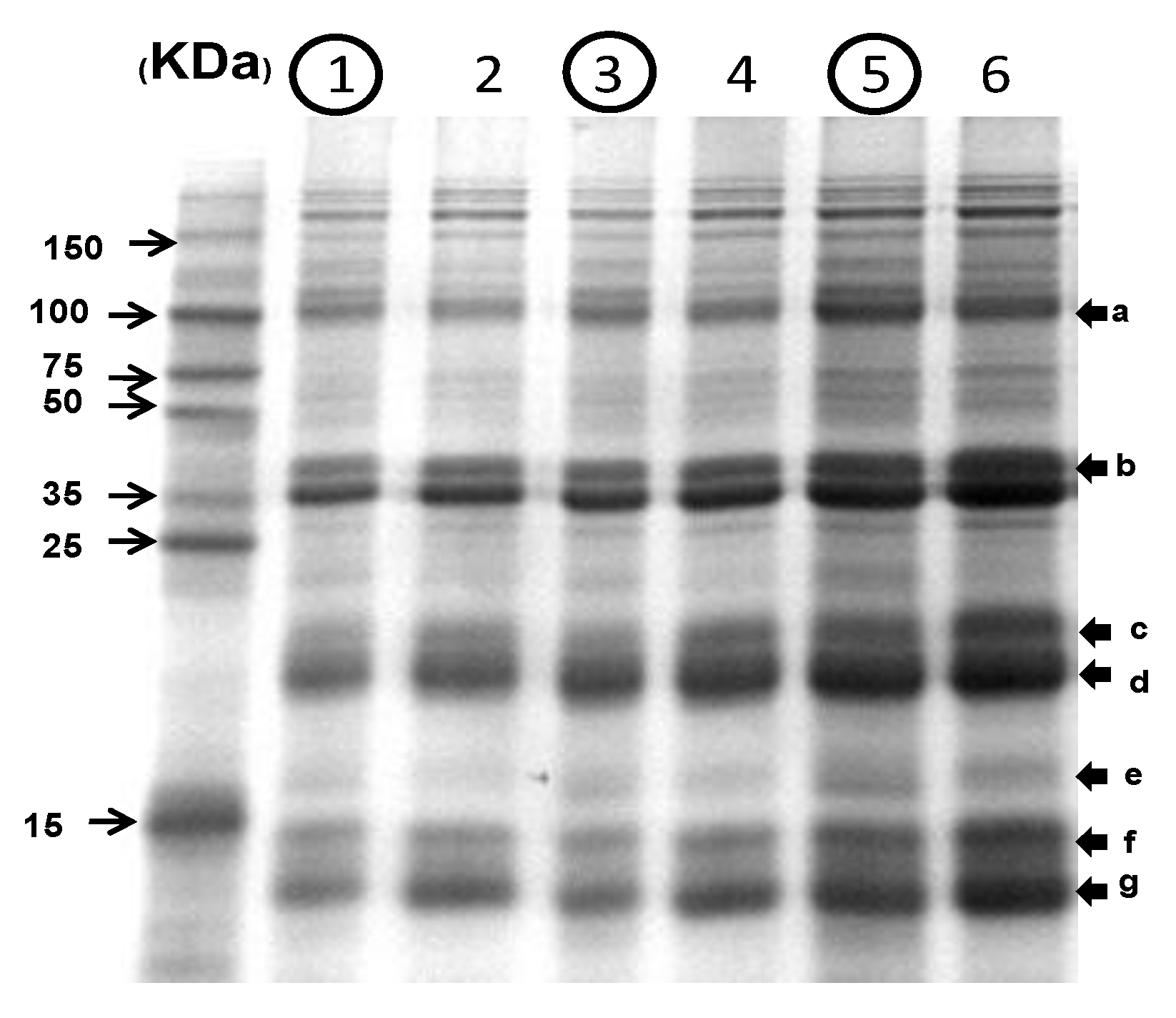 Foods 11 03422 g009 Foods 11 03422 g009