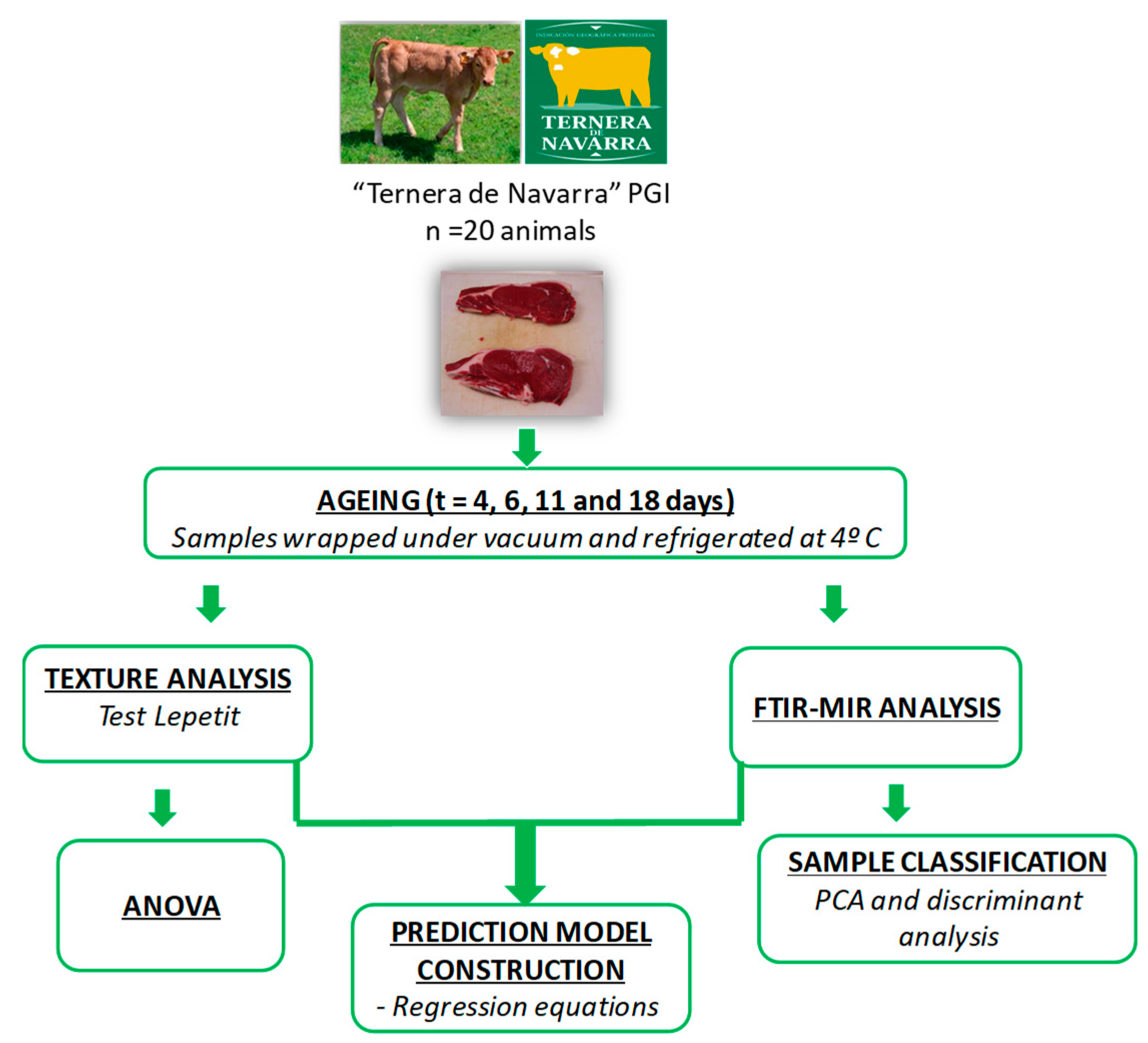 Foods 11 03426 g001 Foods 11 03426 g001