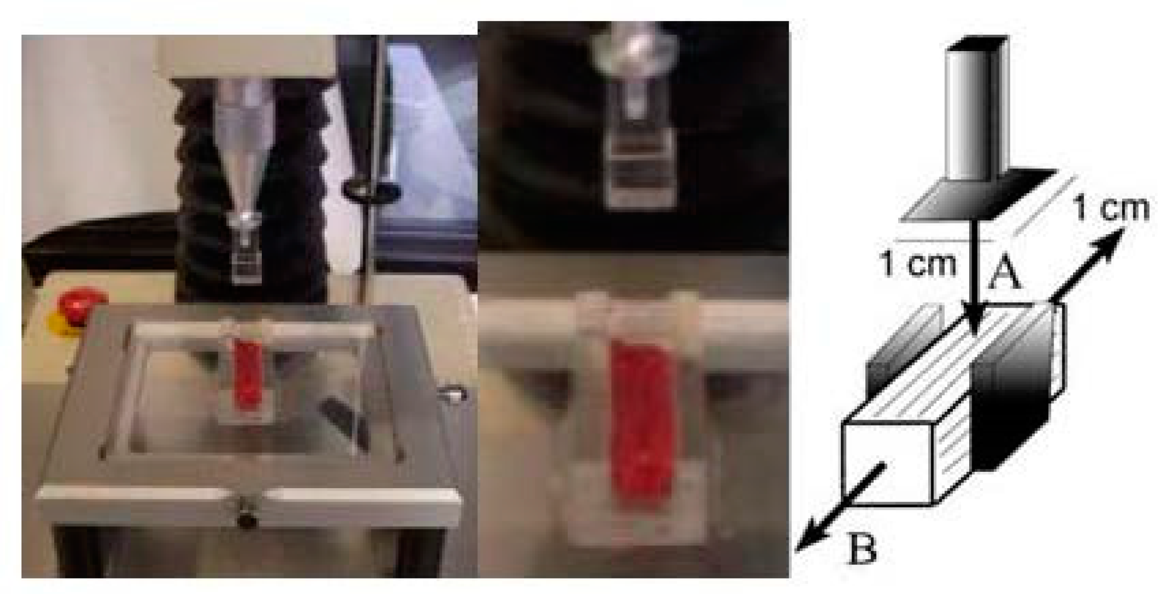 Foods 11 03426 g0a1 Foods 11 03426 g0a1