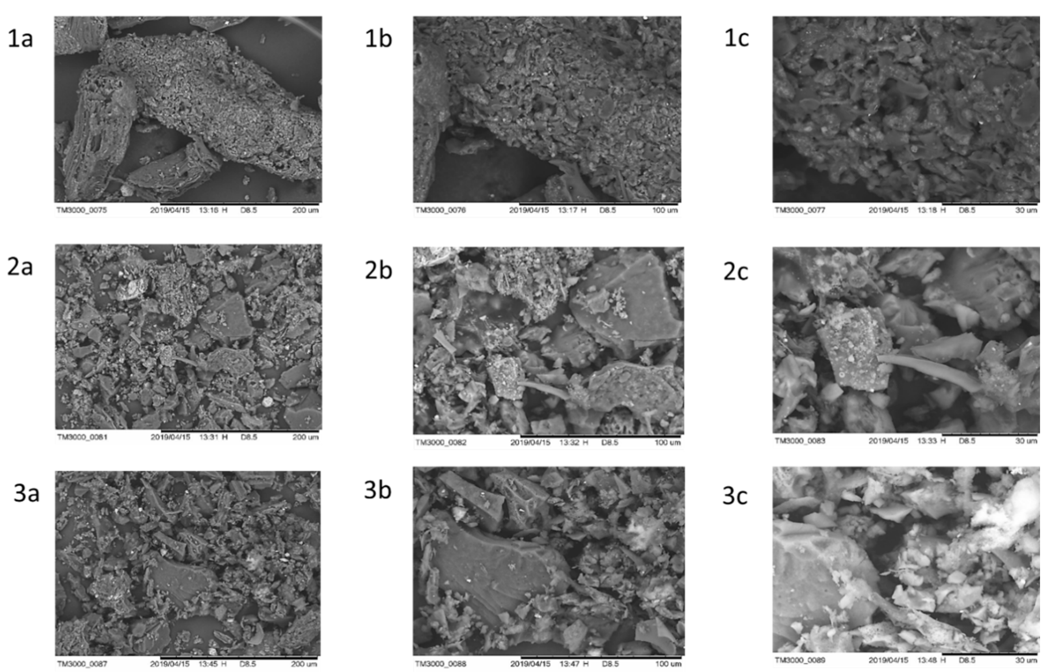 Foods 11 03427 g004 Foods 11 03427 g004