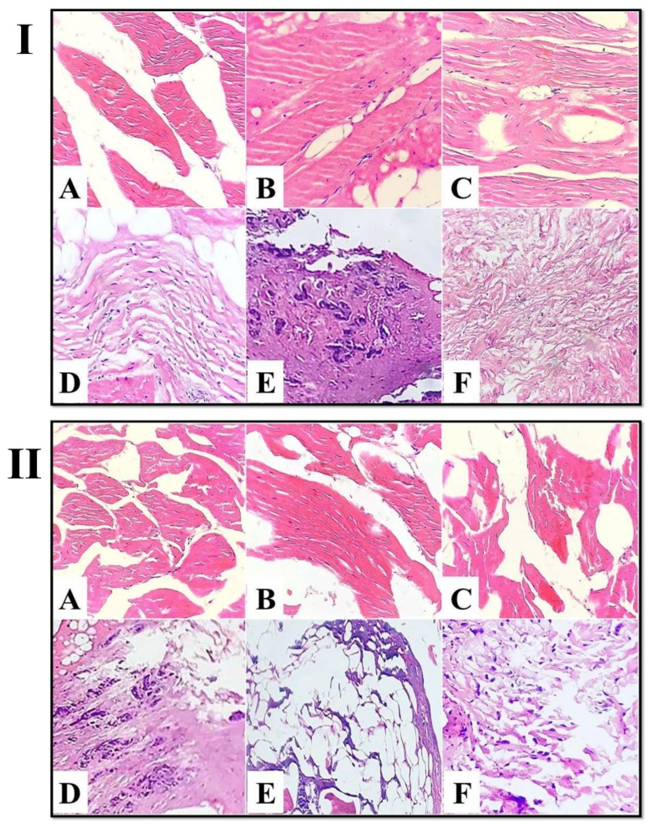 Foods 11 03430 g005 Foods 11 03430 g005