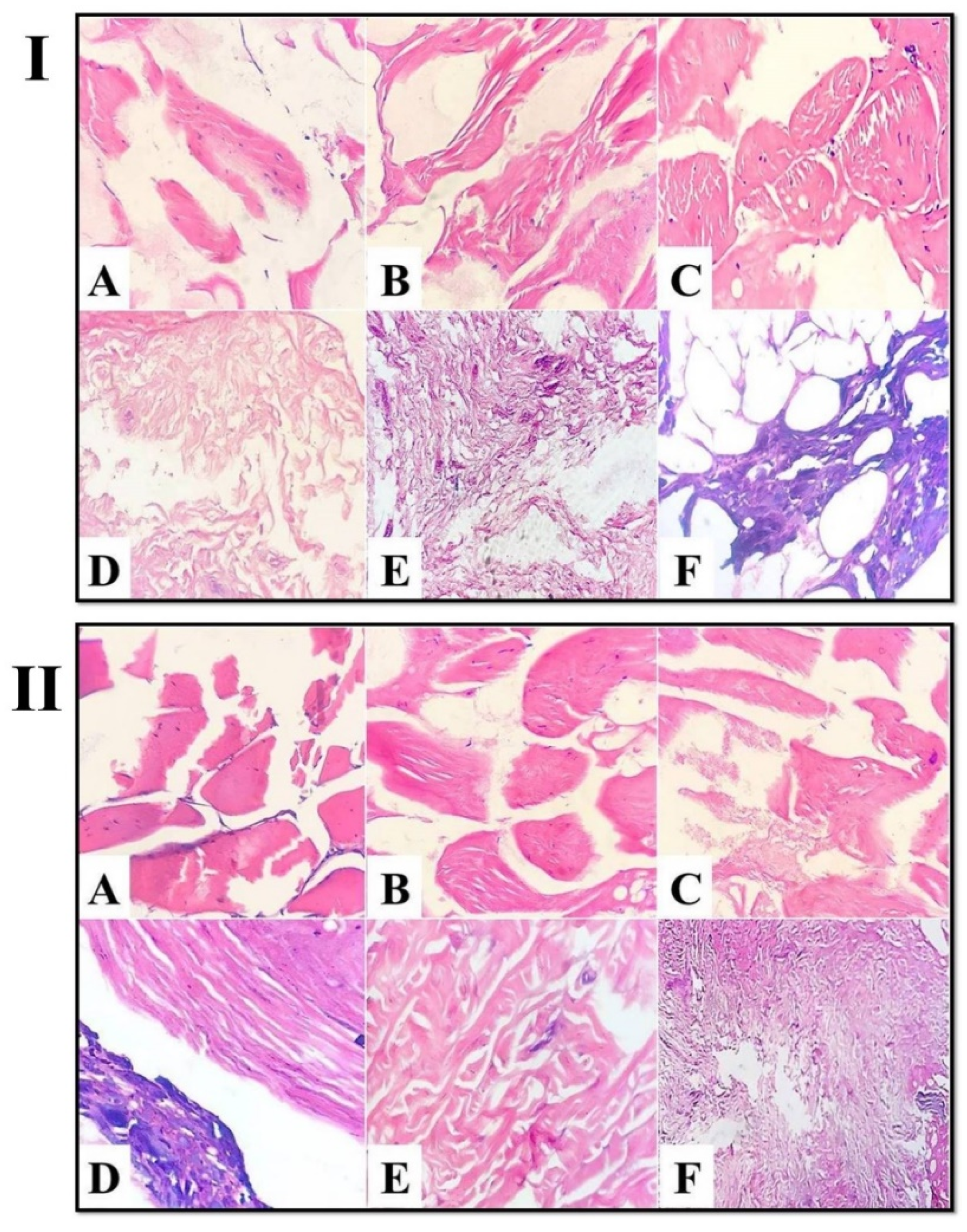 Foods 11 03430 g006 Foods 11 03430 g006