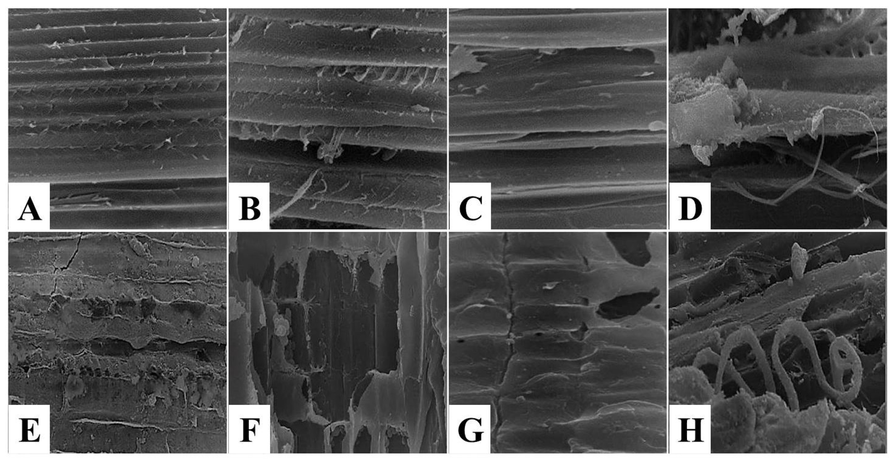 Foods 11 03430 g007 Foods 11 03430 g007