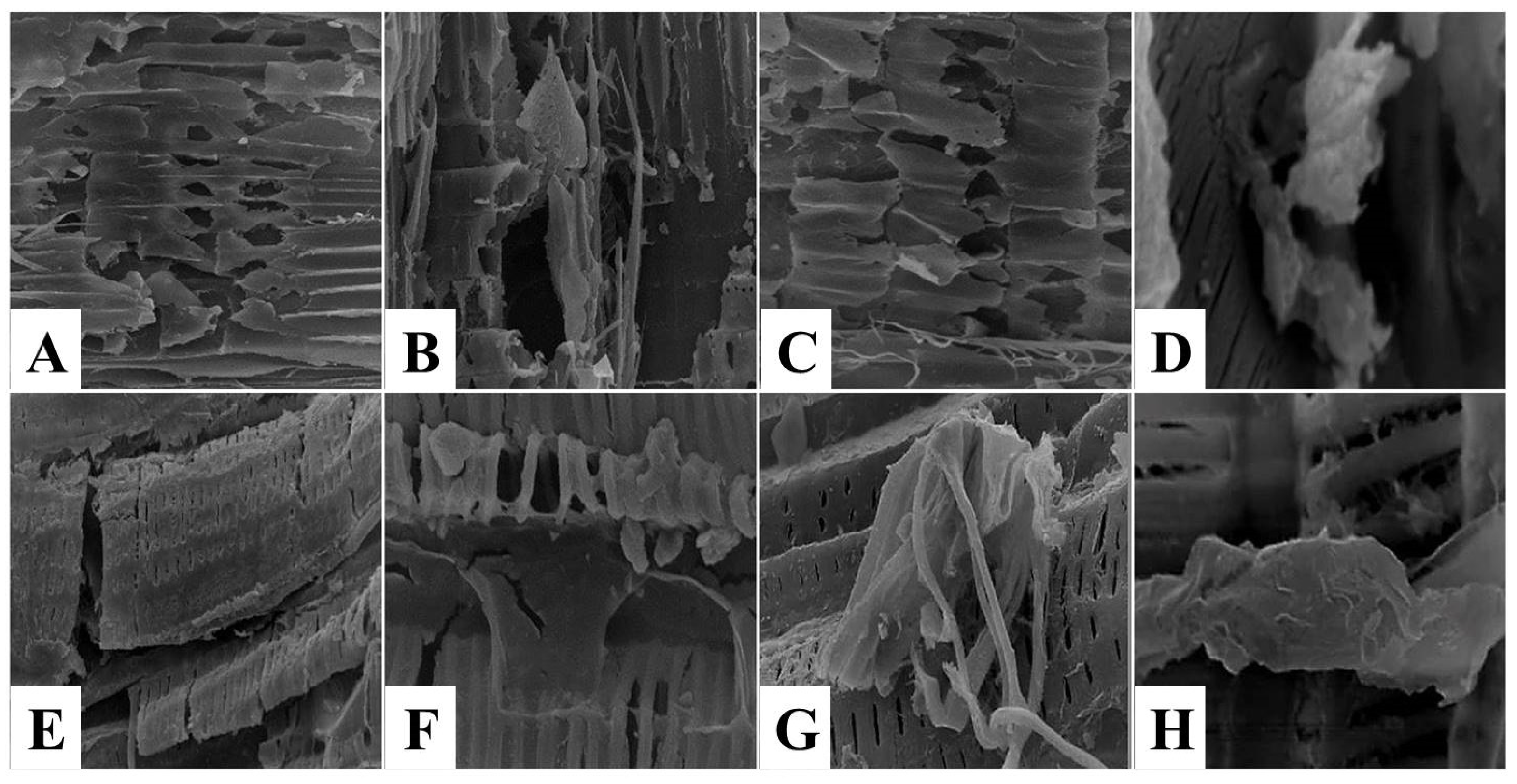 Foods 11 03430 g008 Foods 11 03430 g008