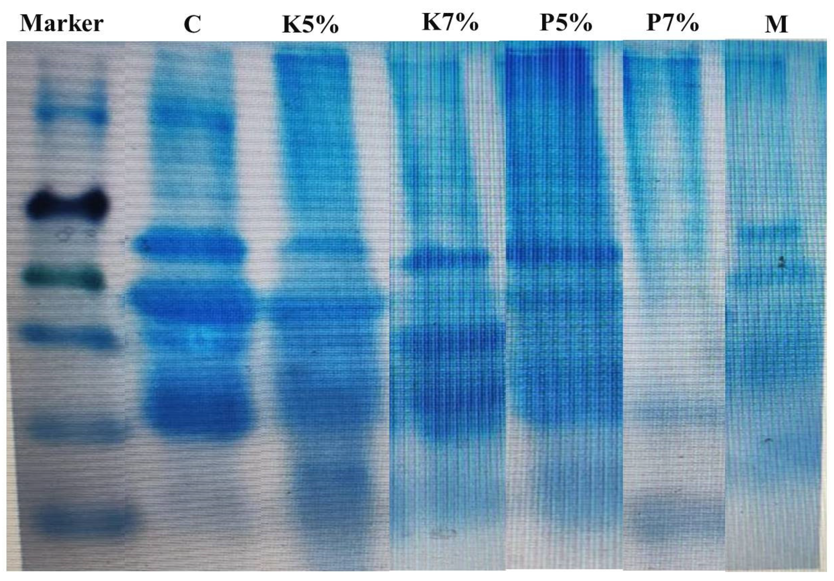 Foods 11 03430 g010 Foods 11 03430 g010