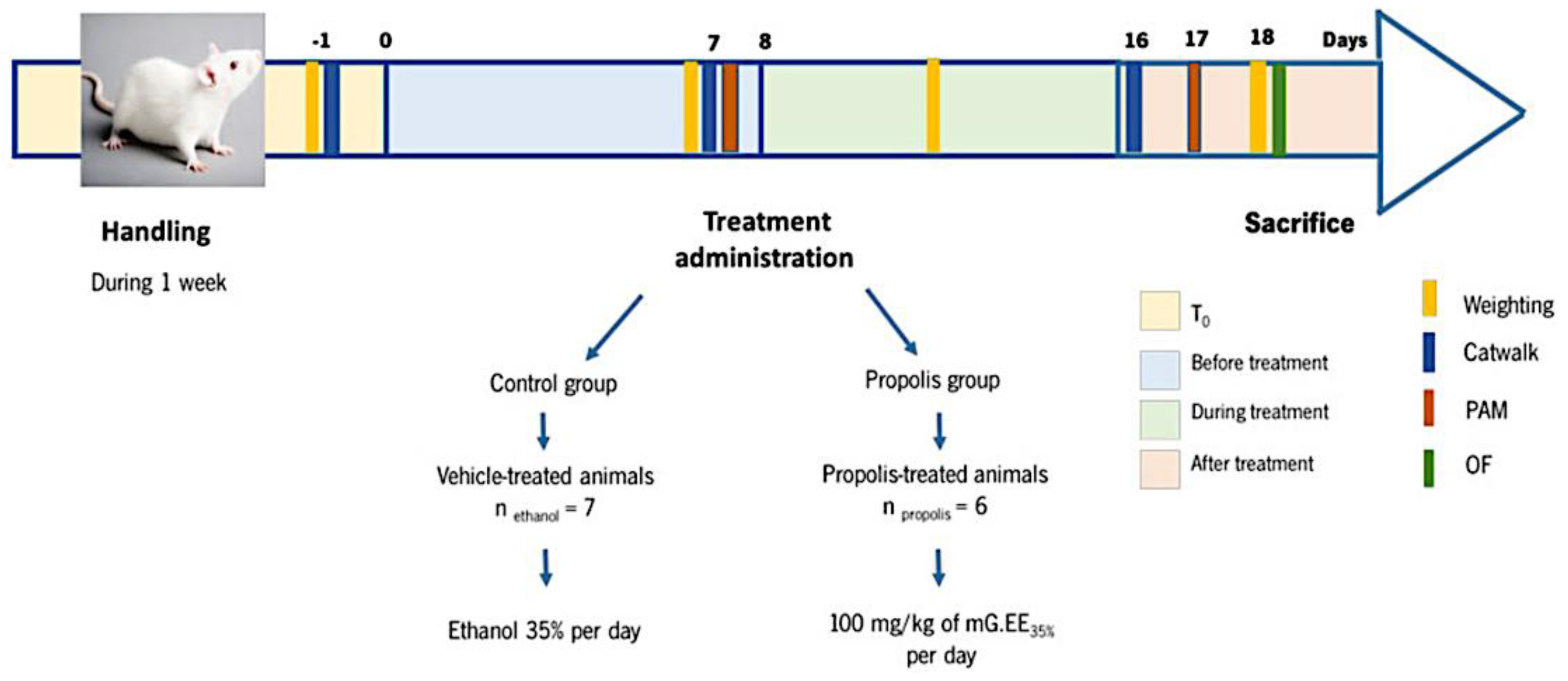 Foods 11 03431 g001 Foods 11 03431 g001