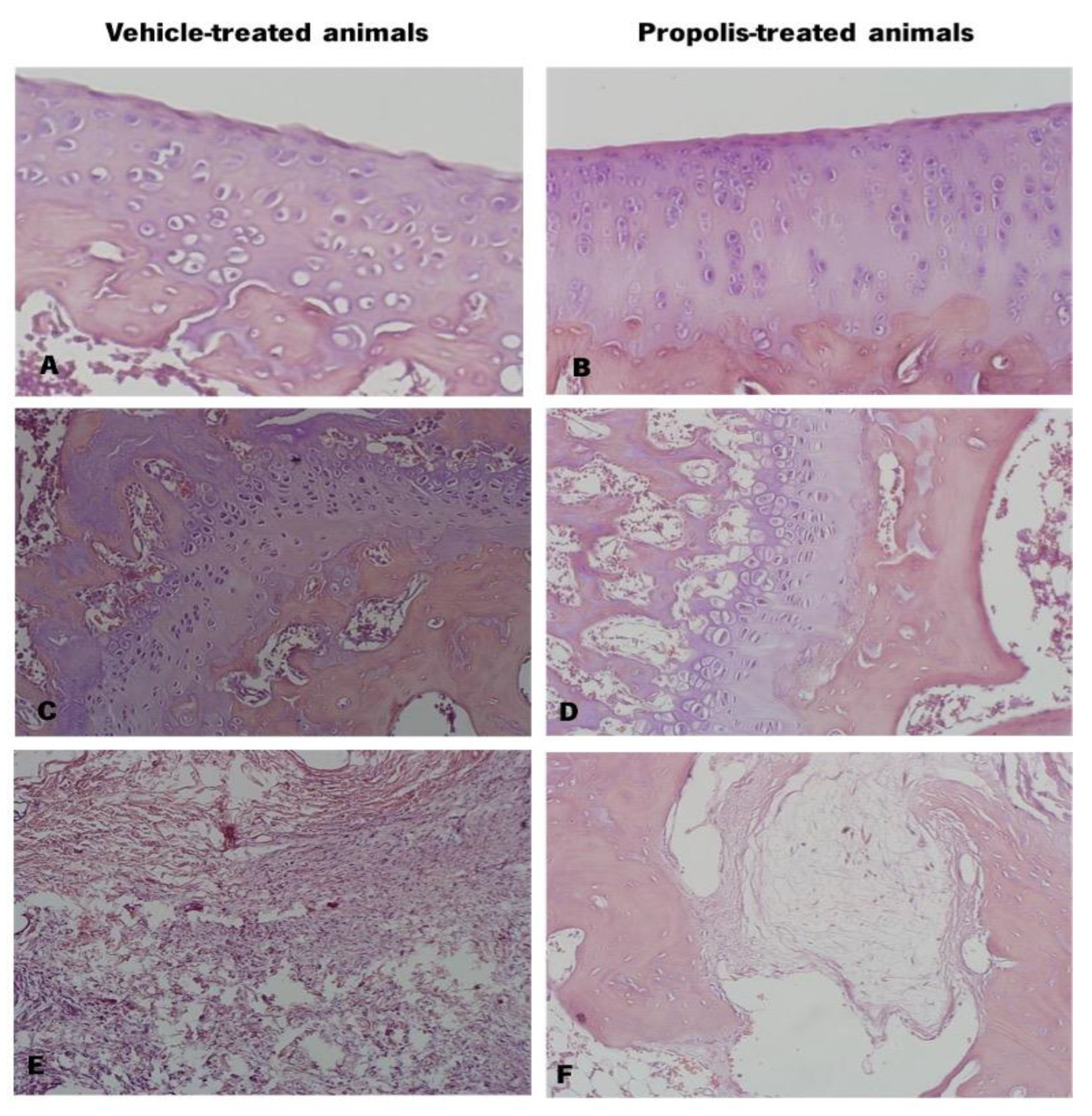 Foods 11 03431 g008 Foods 11 03431 g008