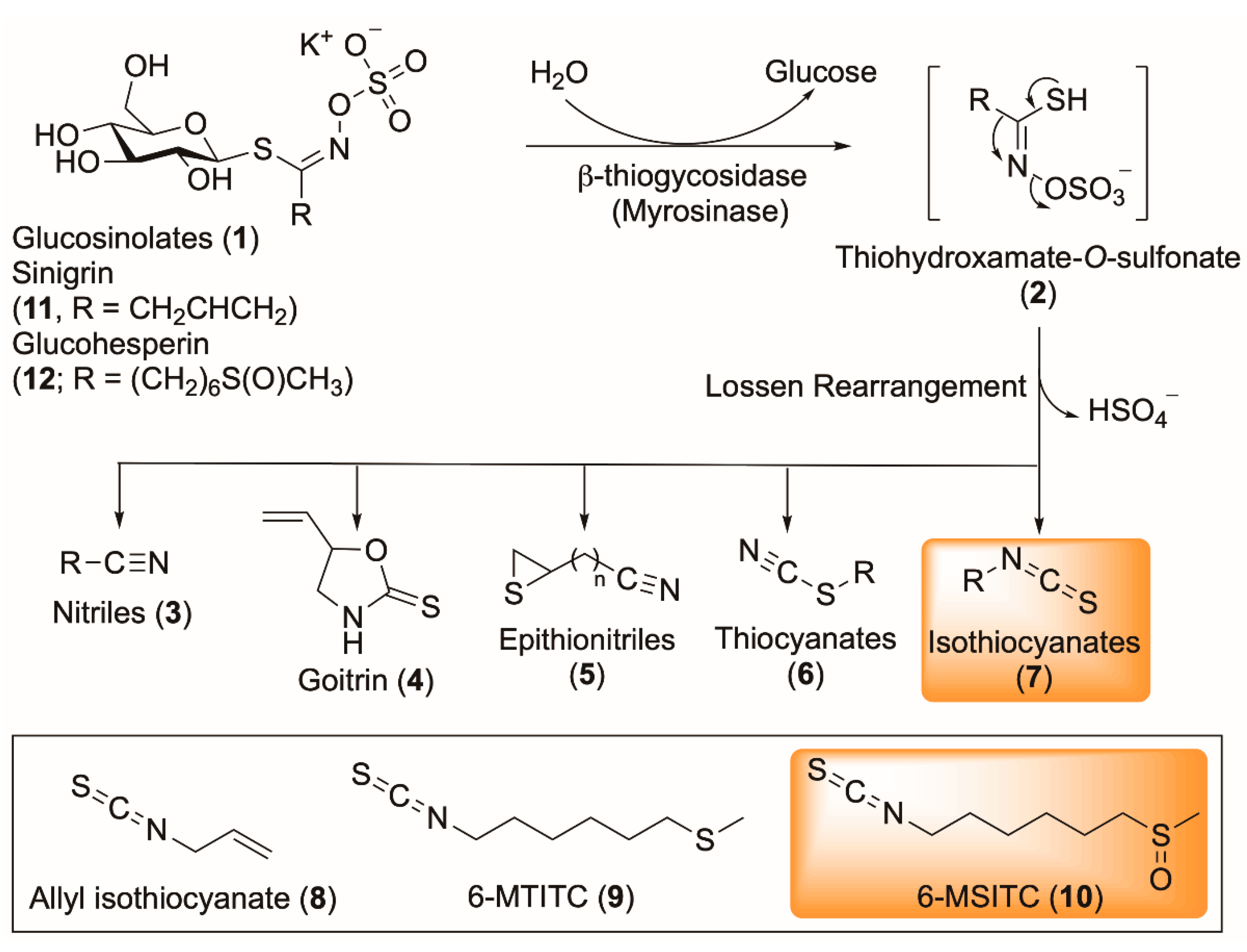 Foods 11 03435 g001 Foods 11 03435 g001