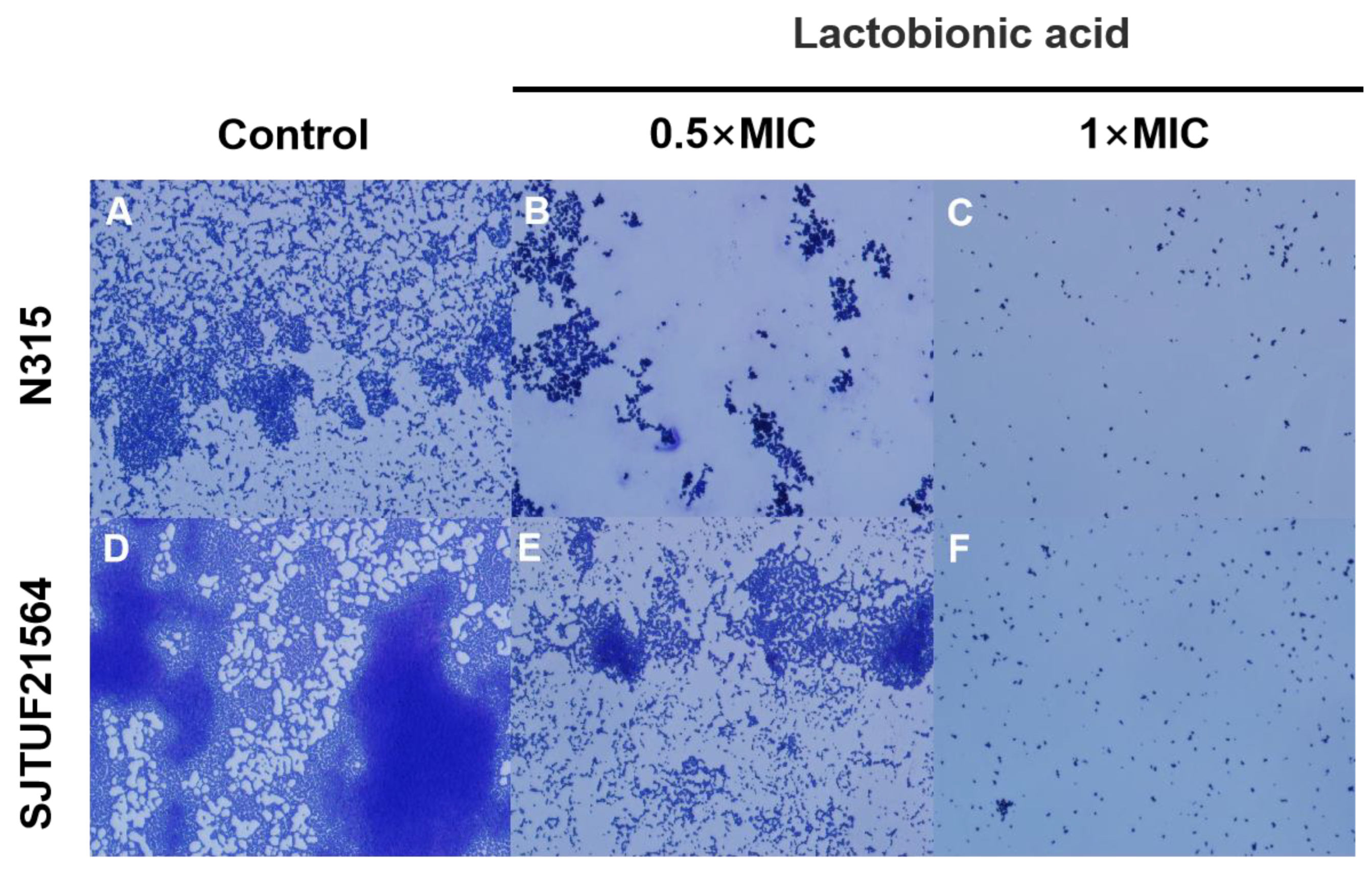 Foods 11 03438 g002 Foods 11 03438 g002
