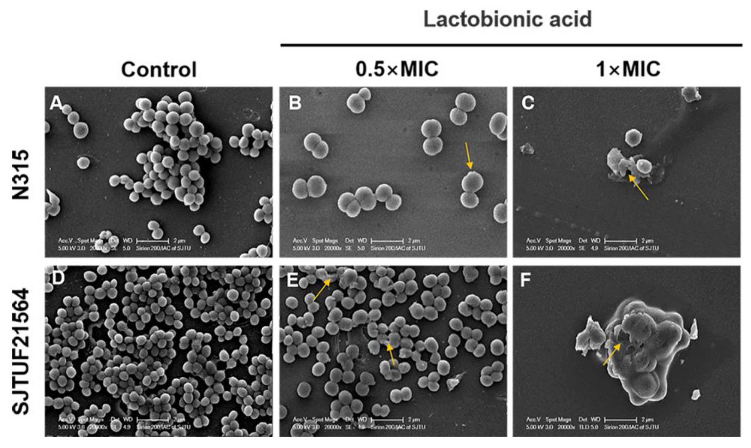 Foods 11 03438 g004 Foods 11 03438 g004