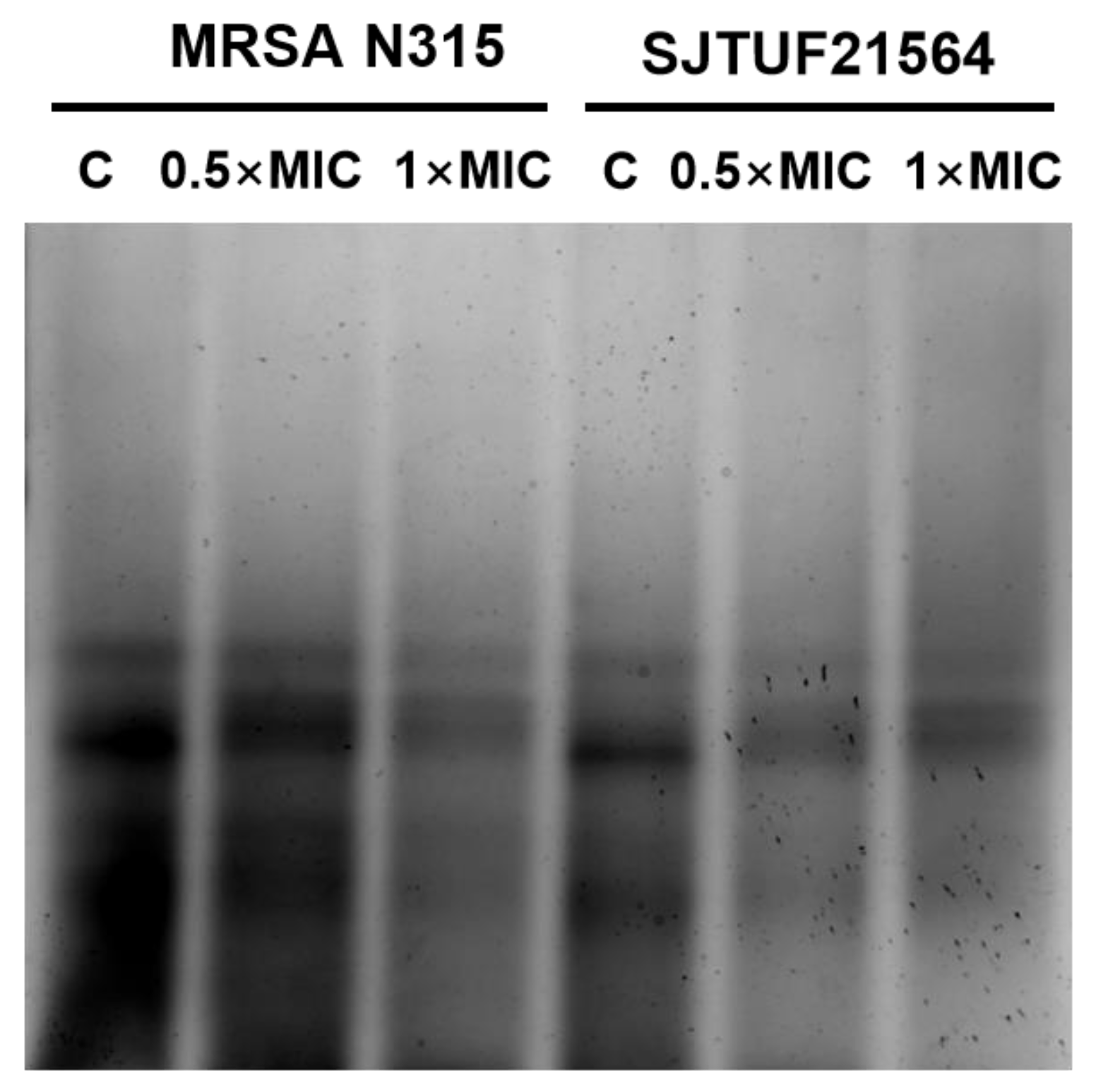 Foods 11 03438 g005 Foods 11 03438 g005
