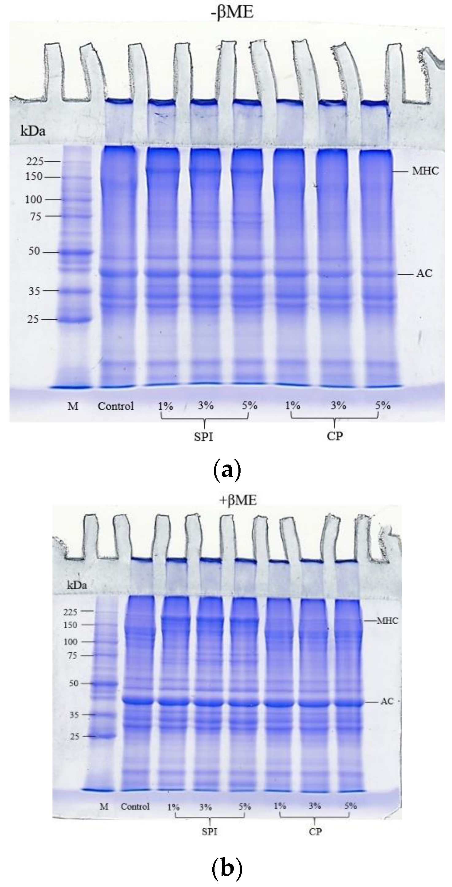 Foods 11 03445 g003 Foods 11 03445 g003