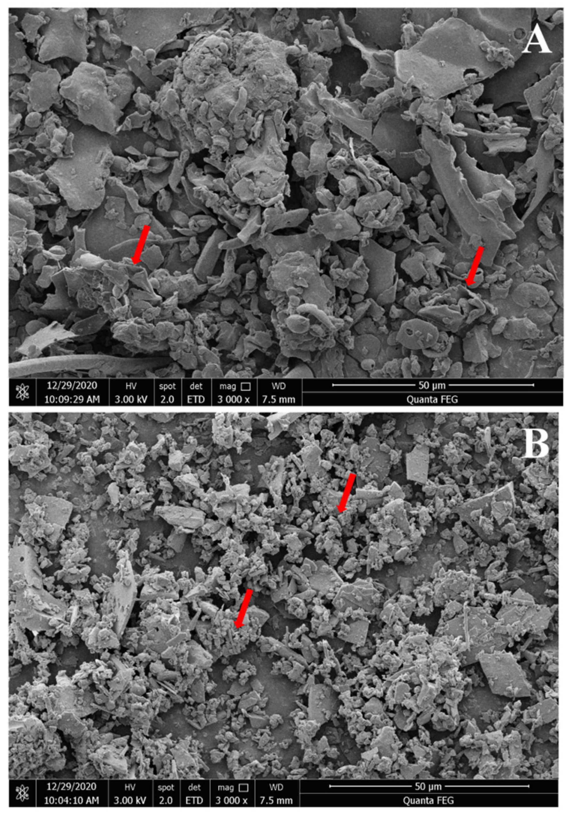 Foods 11 03449 g003 Foods 11 03449 g003