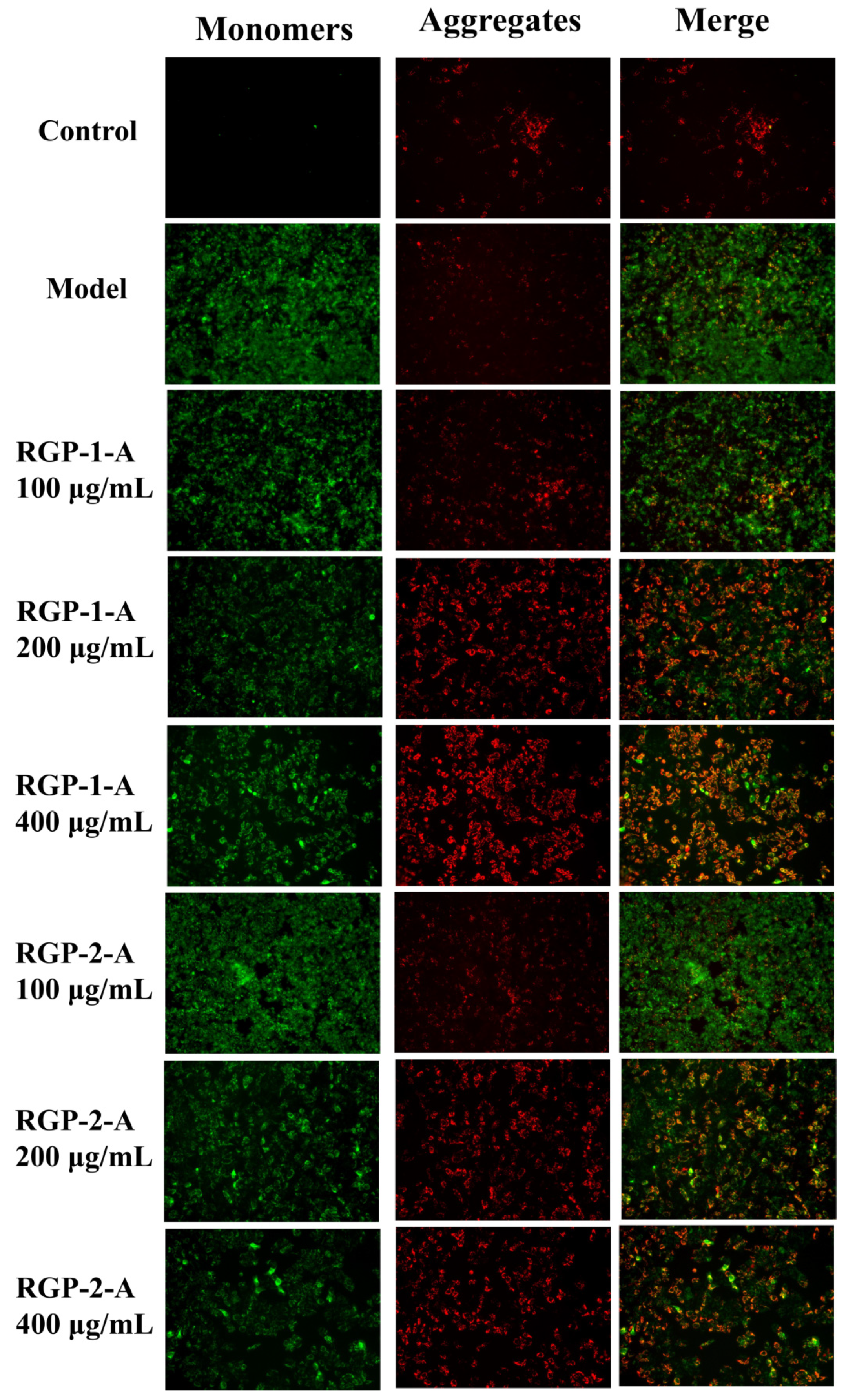 Foods 11 03449 g009 Foods 11 03449 g009