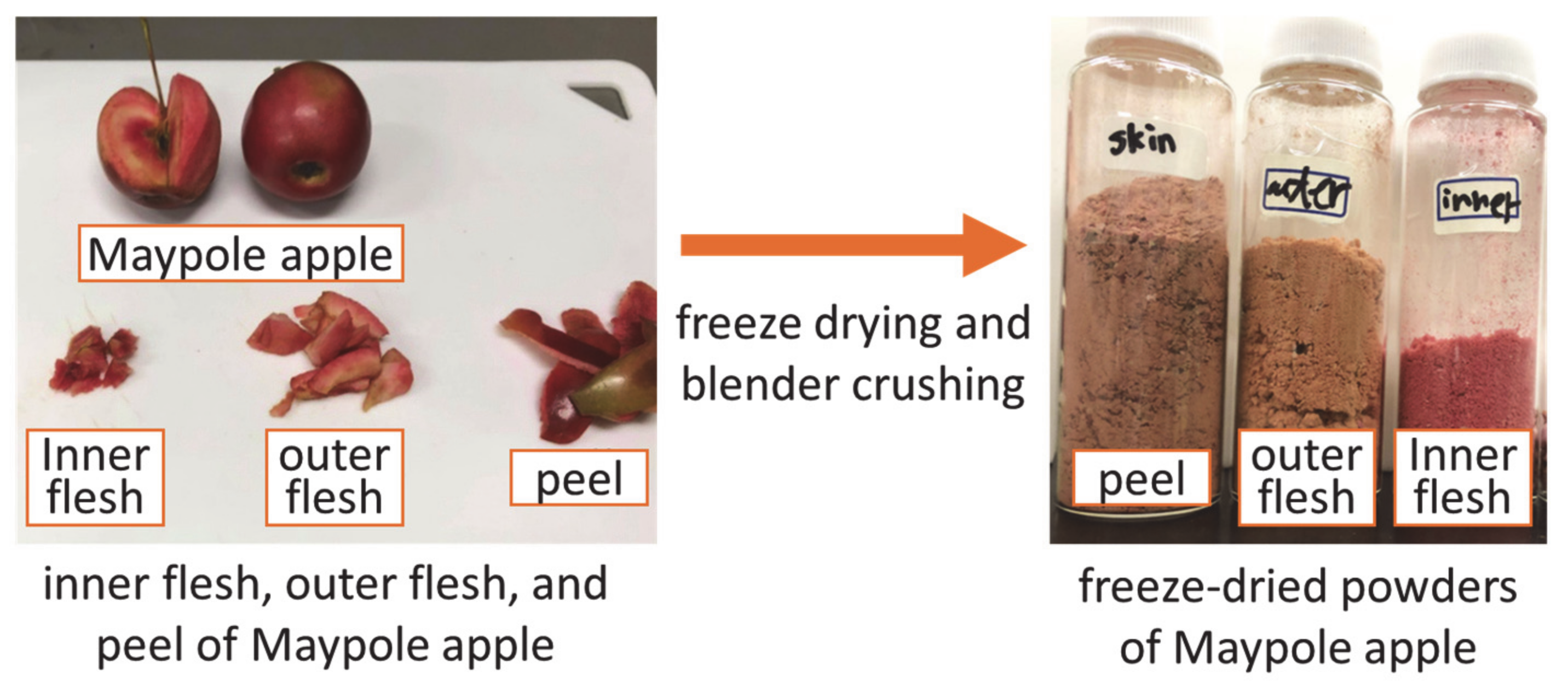 Foods 11 03453 g001 Foods 11 03453 g001