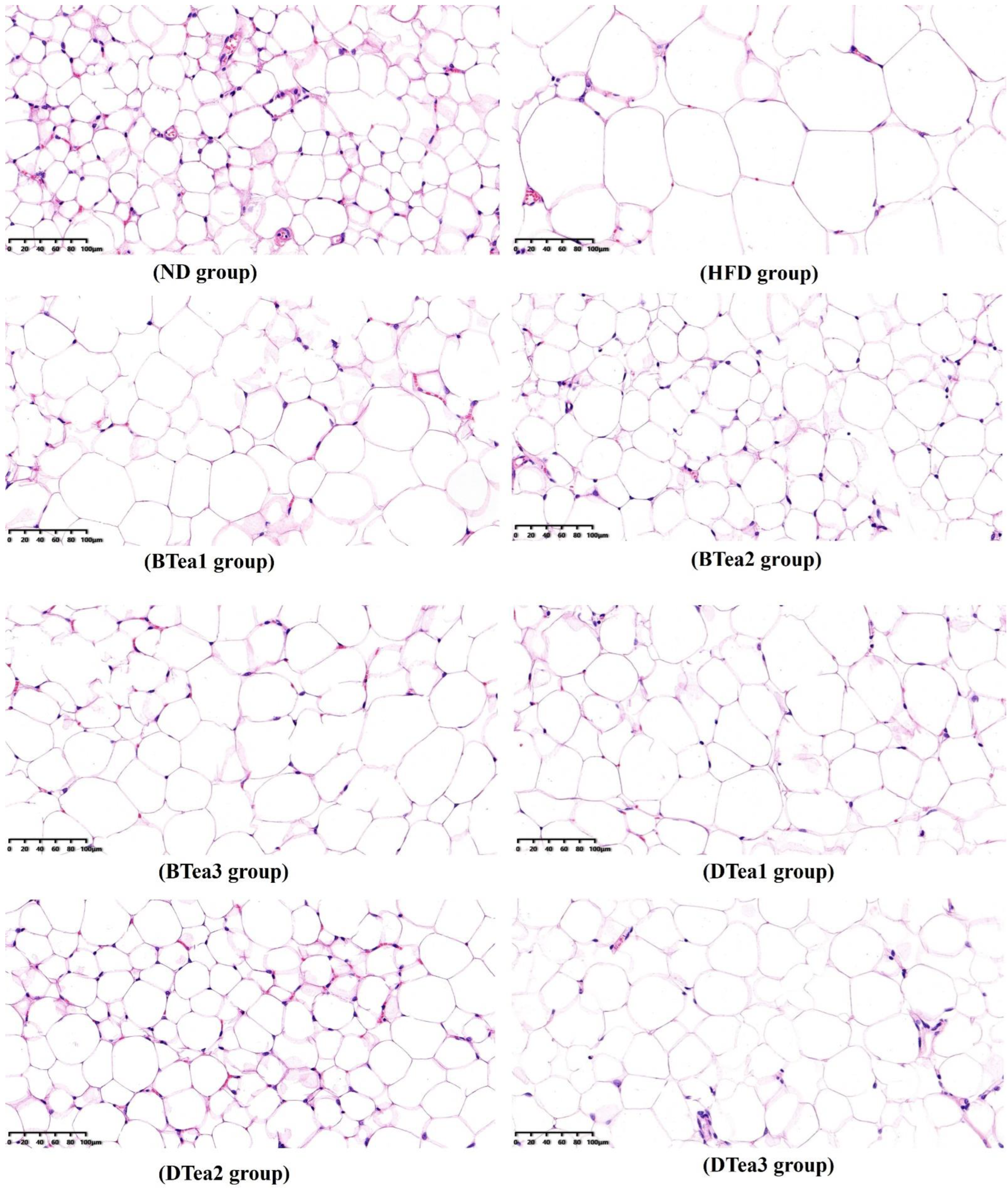 Foods 11 03457 g003 Foods 11 03457 g003