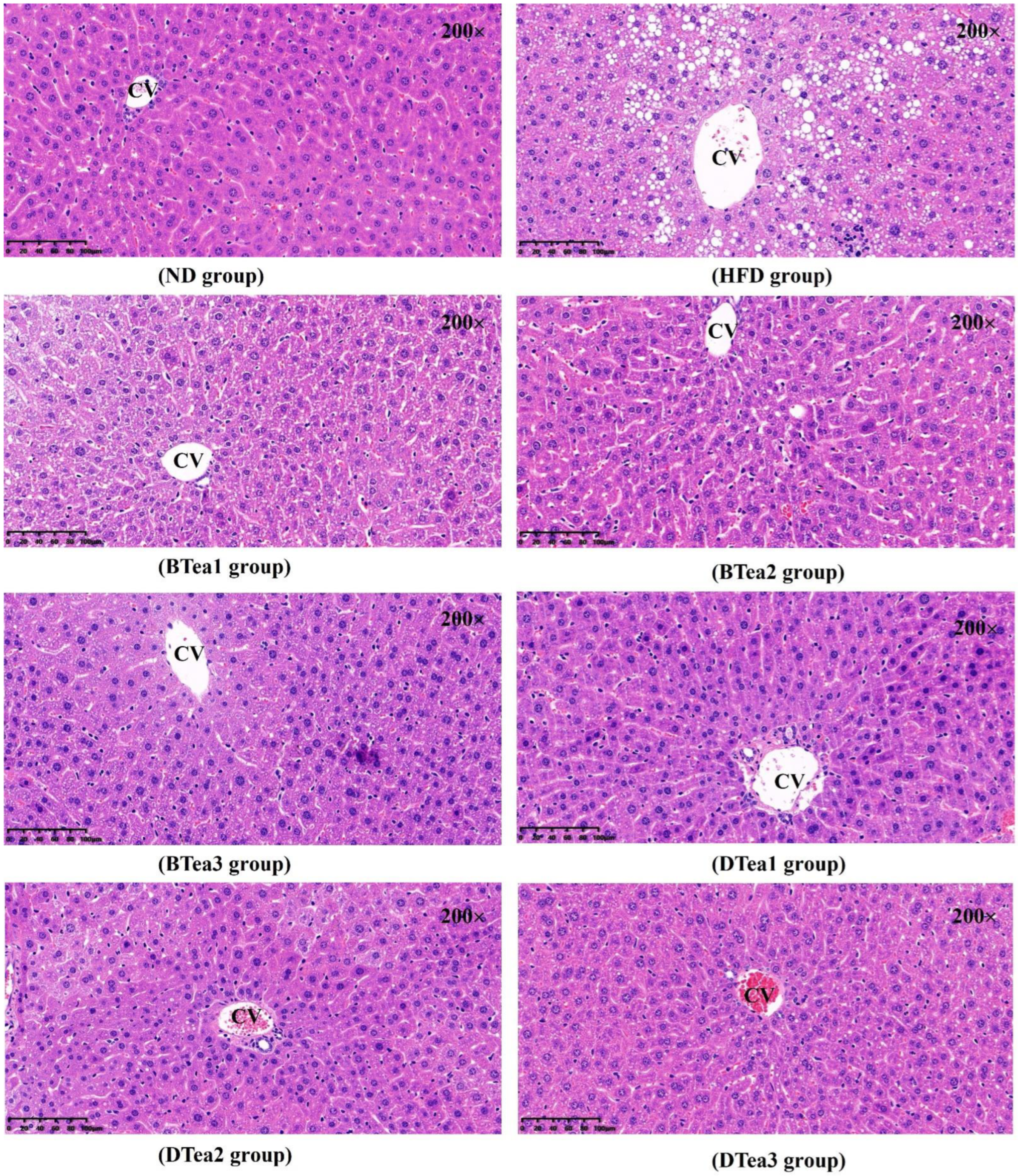 Foods 11 03457 g005 Foods 11 03457 g005