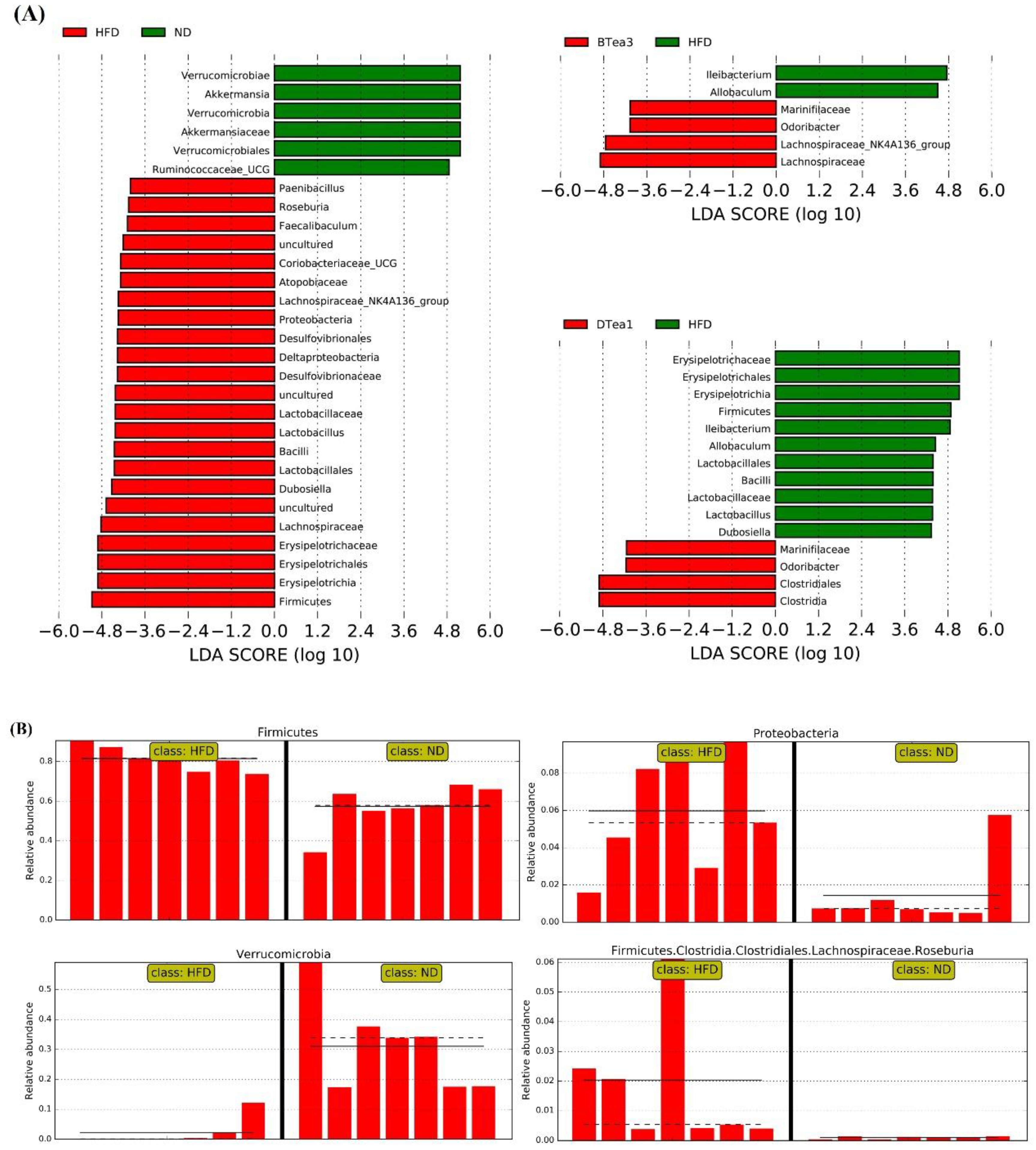 Foods 11 03457 g009 Foods 11 03457 g009