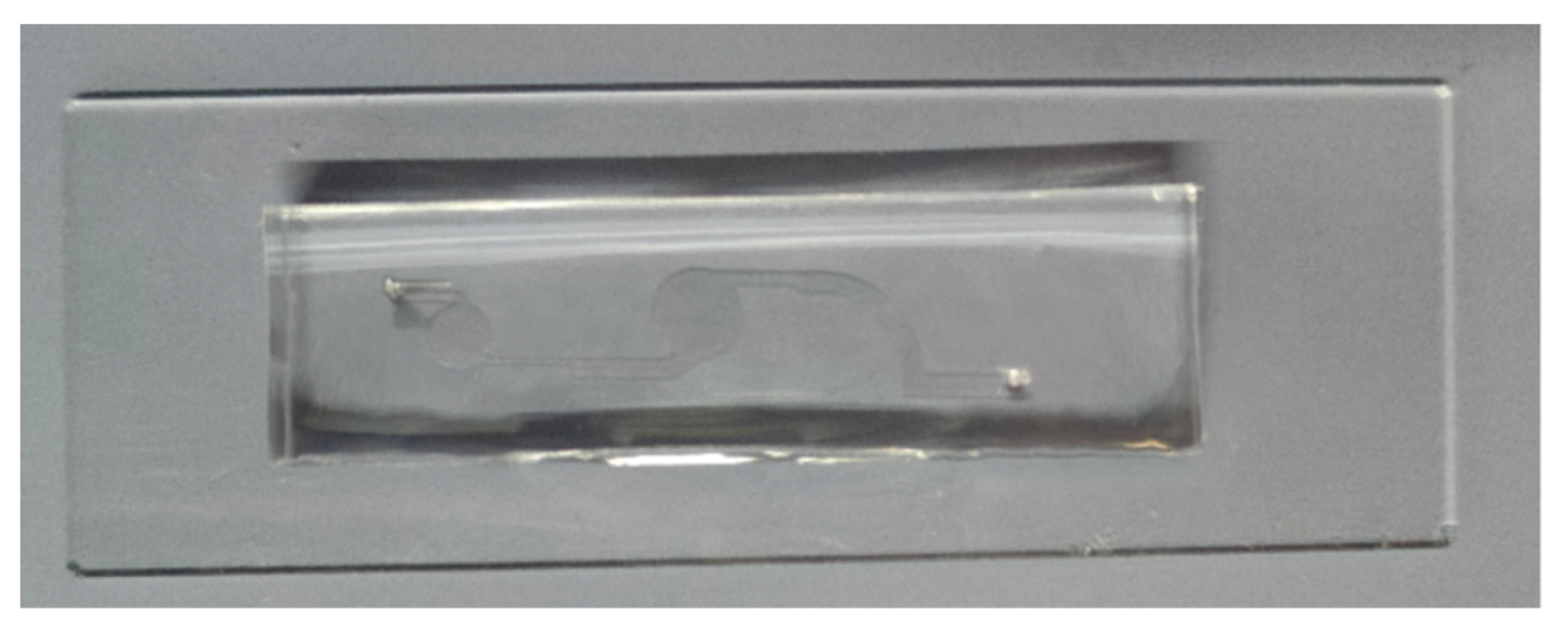 Foods 11 03462 g003 Foods 11 03462 g003