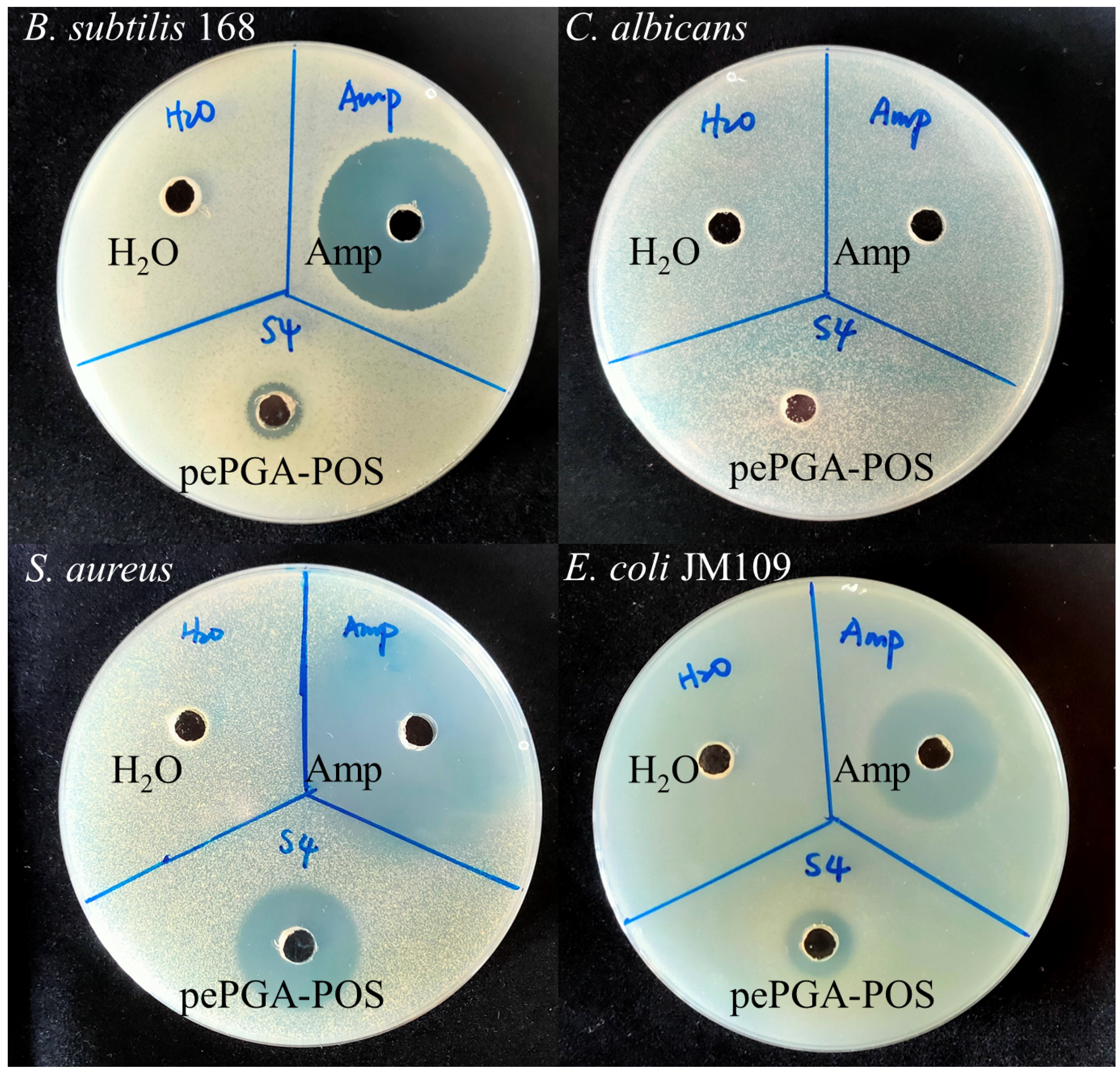 Foods 11 03469 g006 Foods 11 03469 g006