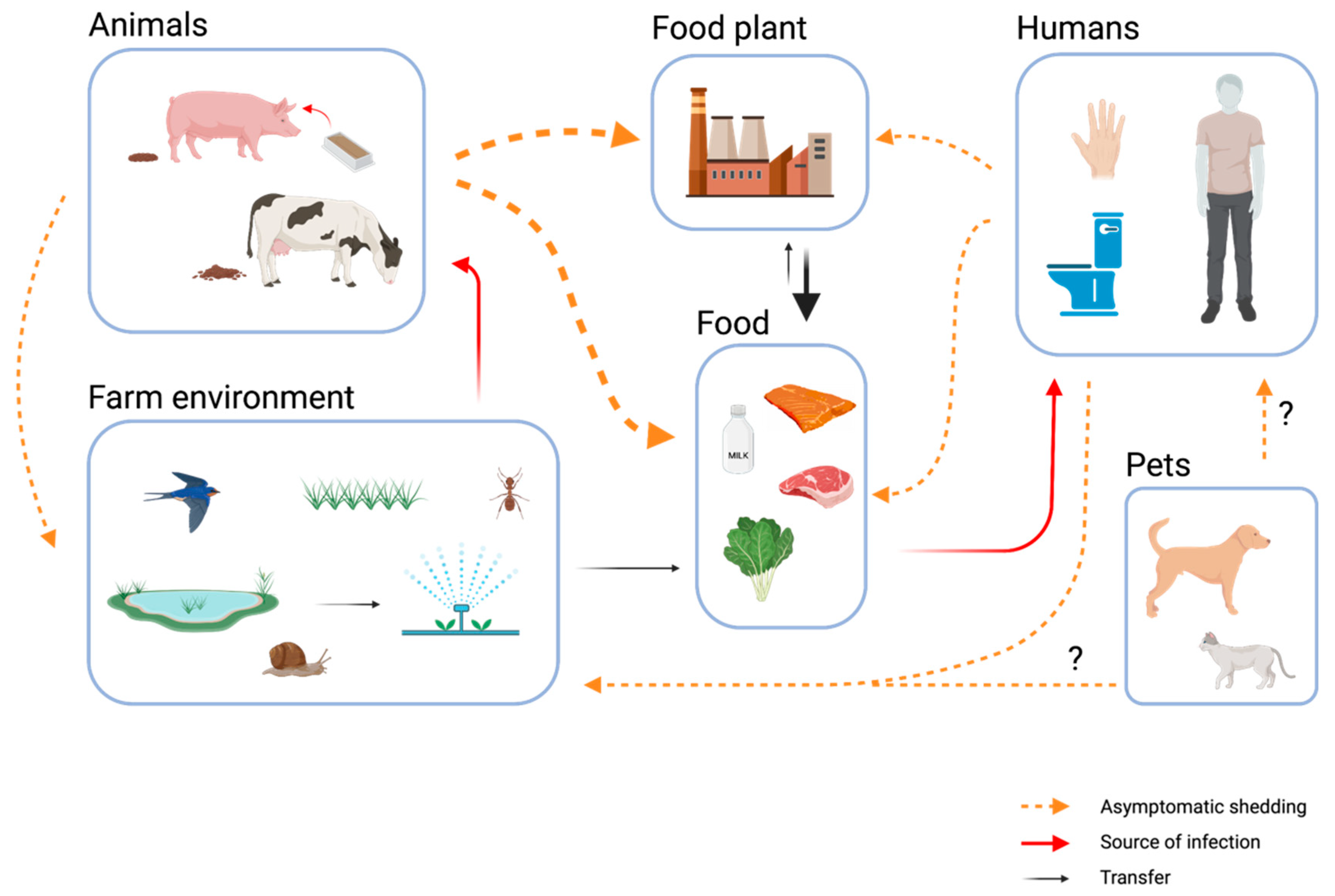 Asymptomatic Carriage of Listeria monocytogenes by Animals and Humans