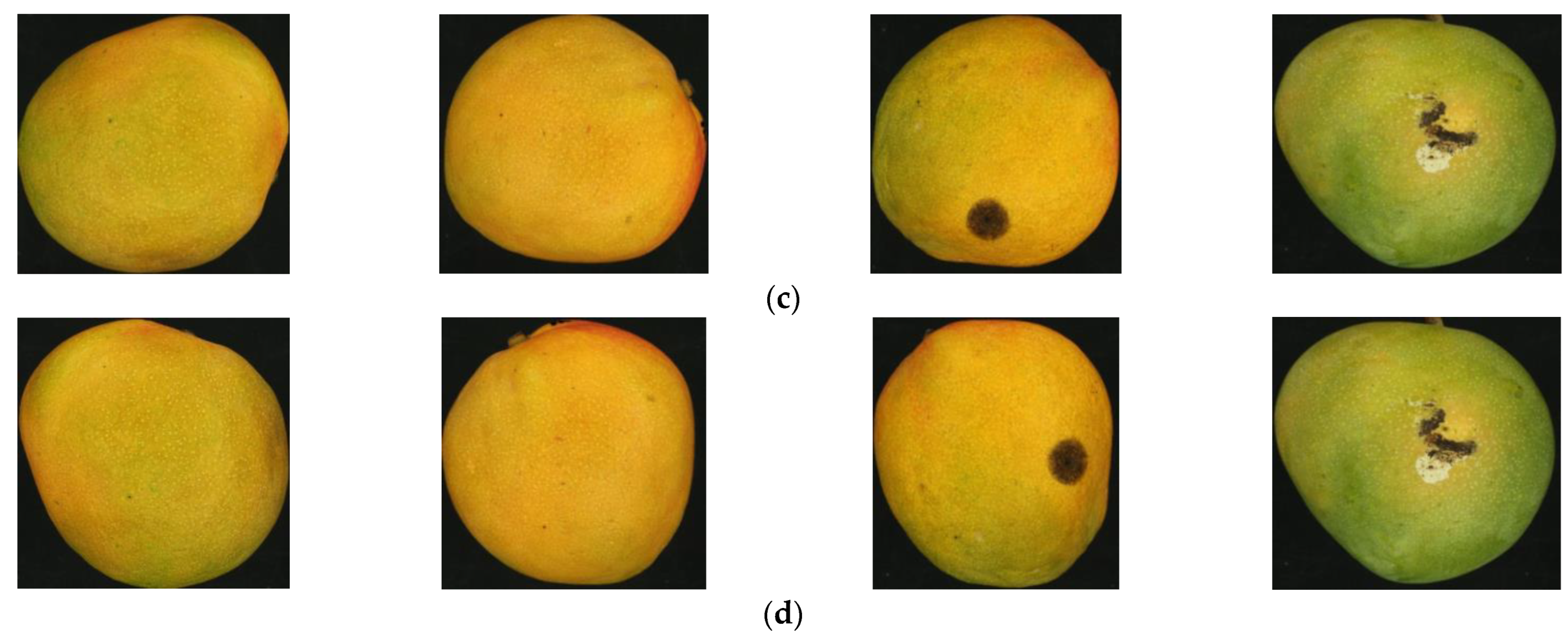 Foods 11 03483 g002b Foods 11 03483 g002b