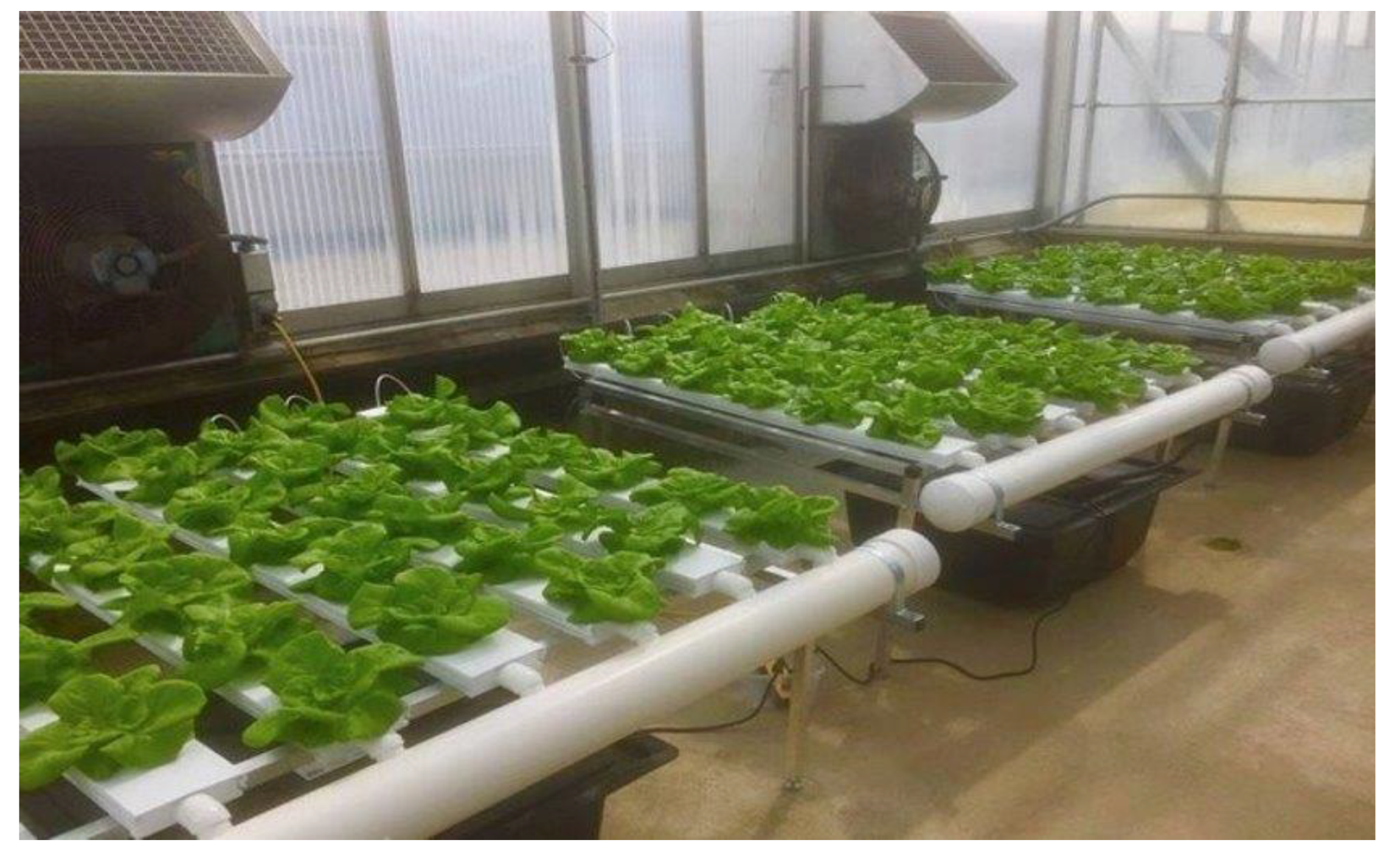 Foods 11 03508 g001 Foods 11 03508 g001