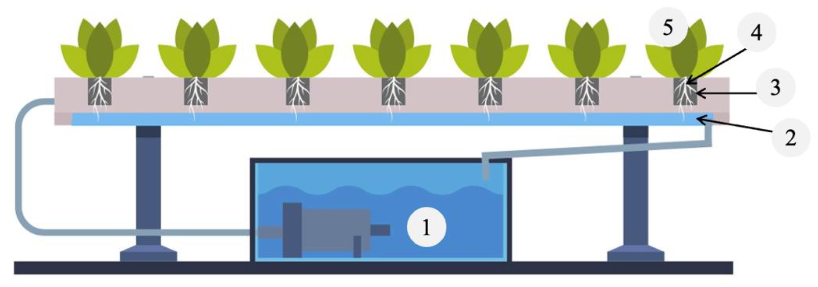 Foods 11 03508 g002 Foods 11 03508 g002