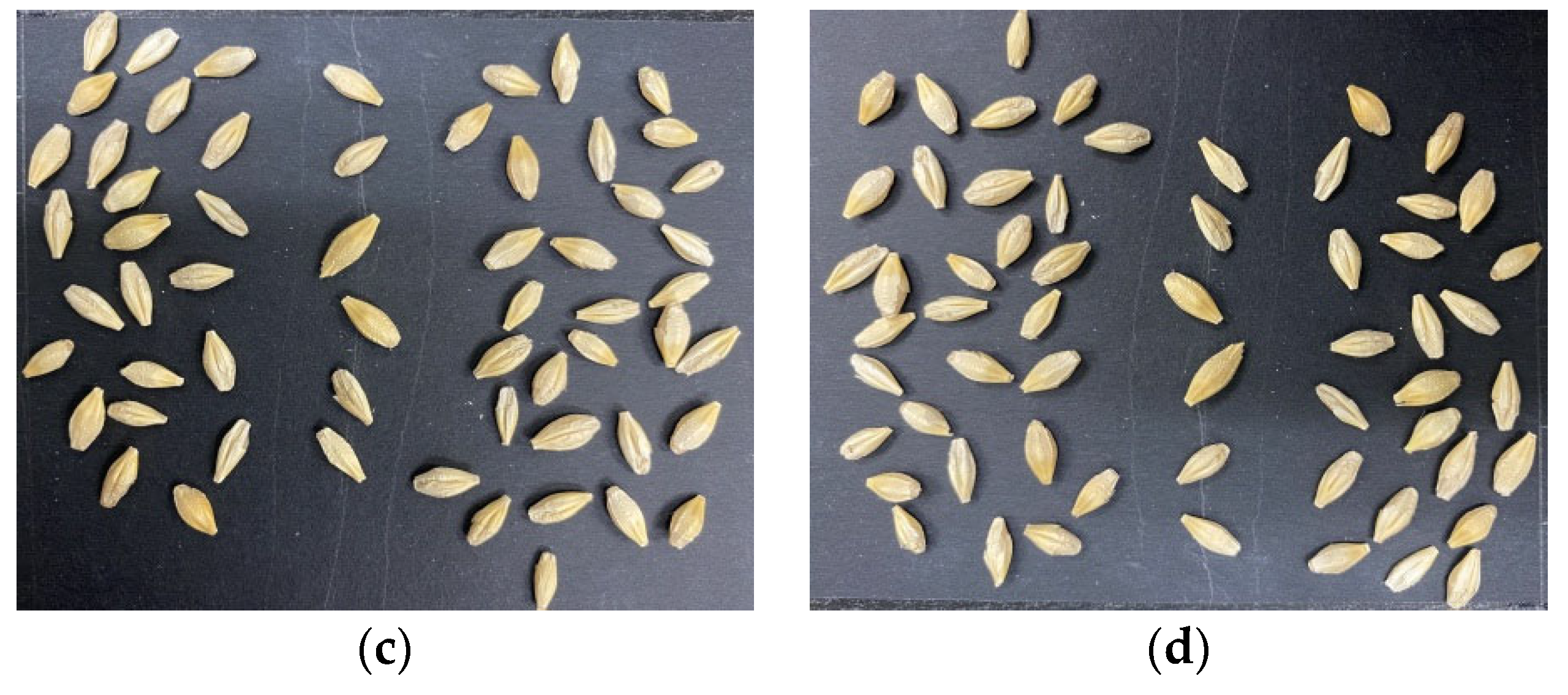 Foods Free FullText MultiBarley Seed Detection Using iPhone