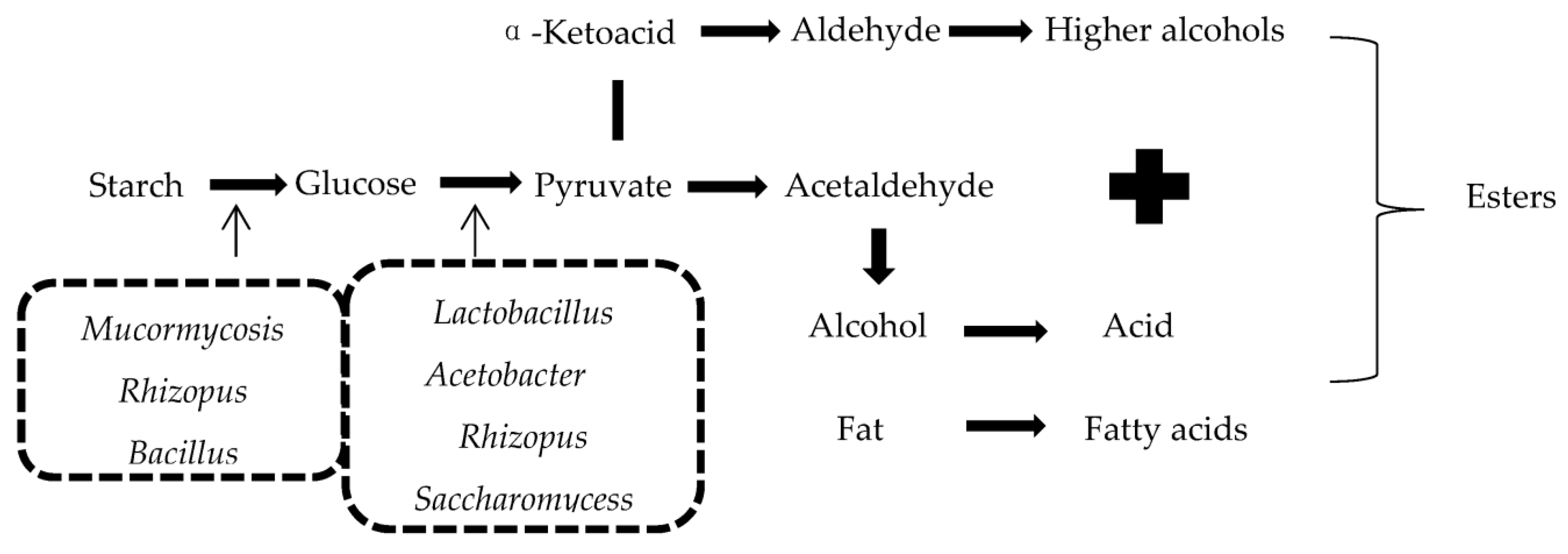 Foods 11 03534 g002 Foods 11 03534 g002