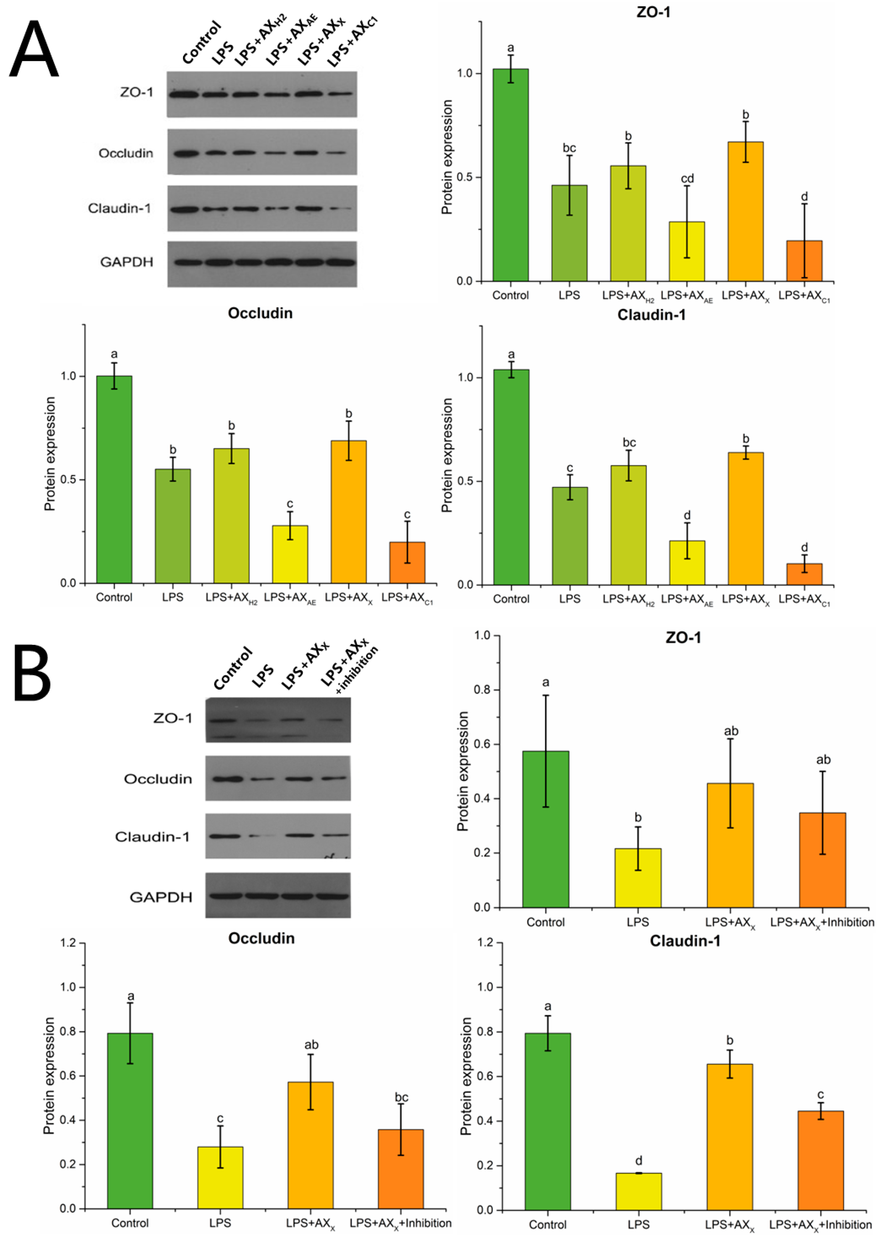Foods 11 03535 g005 Foods 11 03535 g005