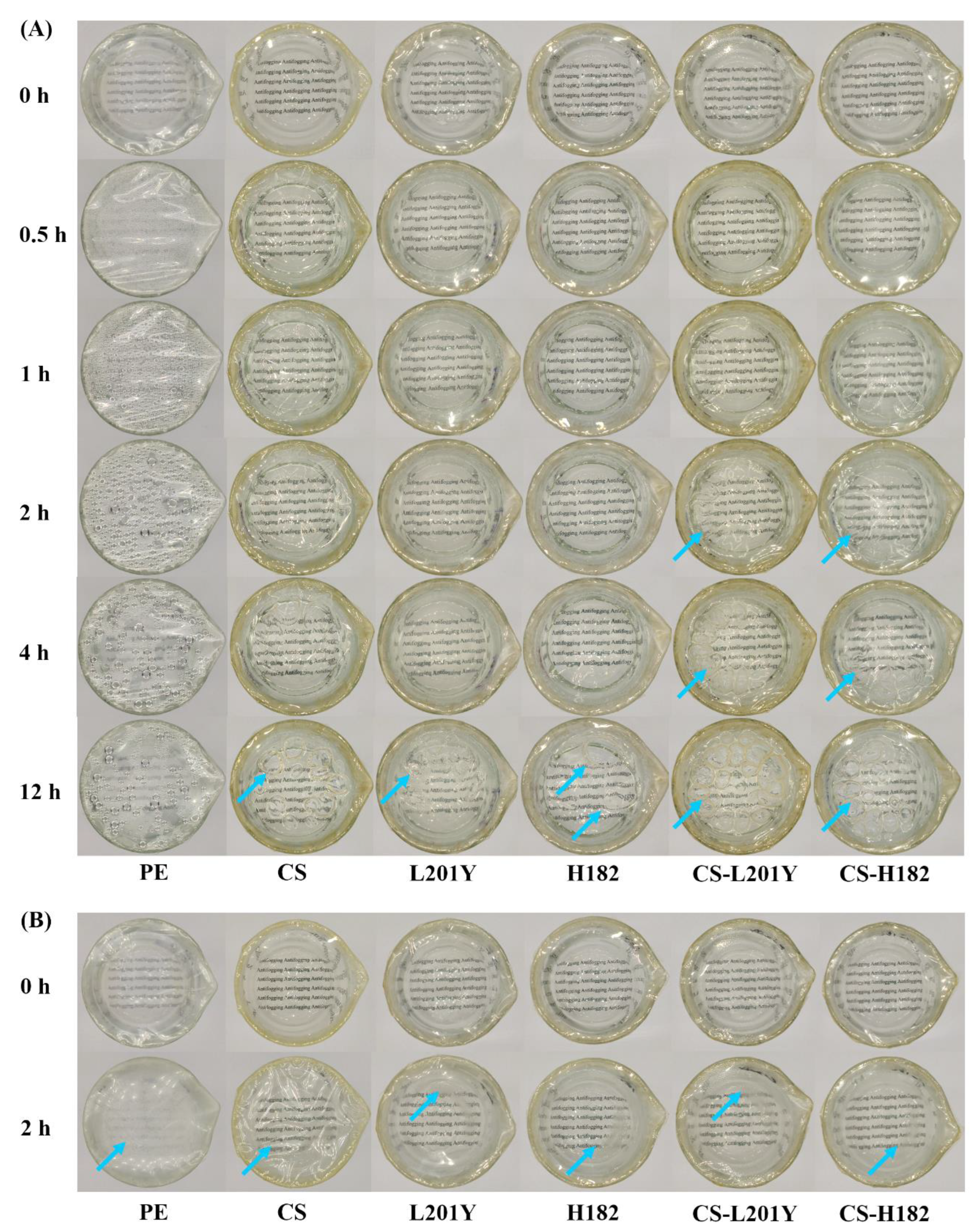Foods 11 03536 g008 Foods 11 03536 g008