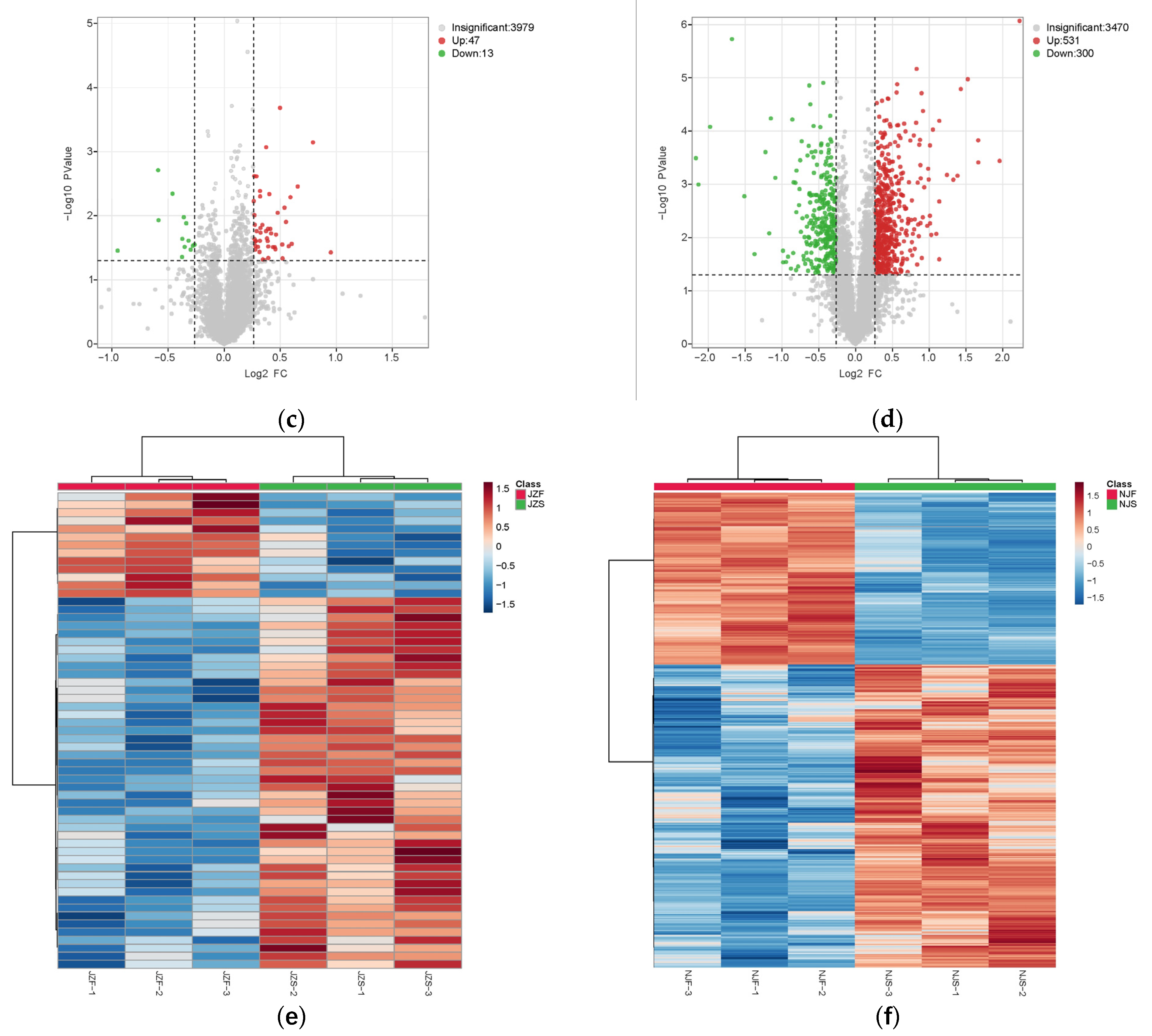 Foods 11 03541 g003b Foods 11 03541 g003b