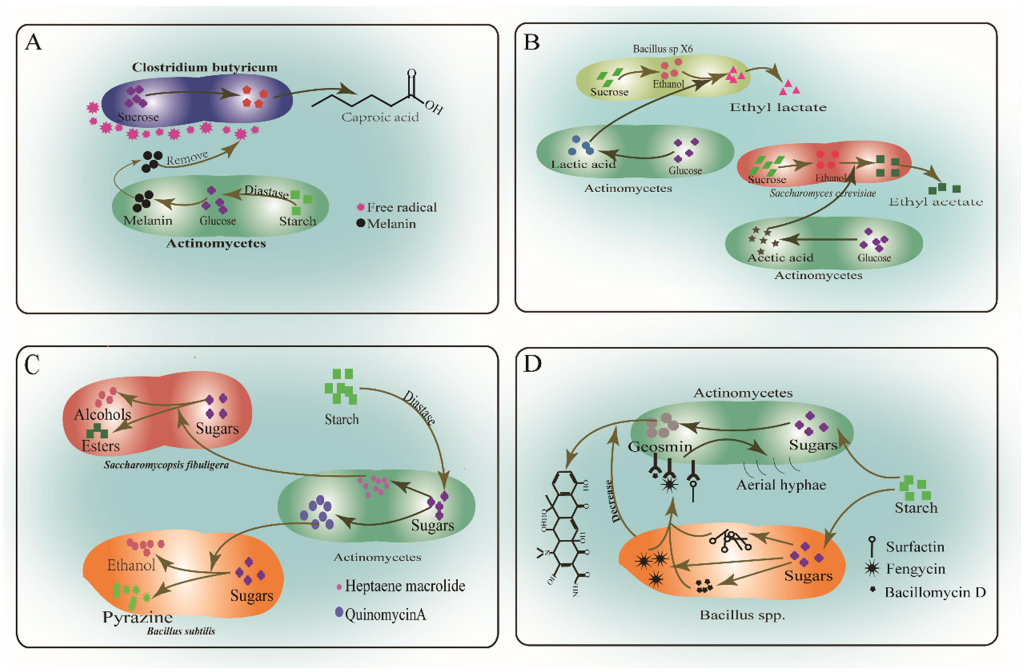 Foods 11 03551 g003 Foods 11 03551 g003