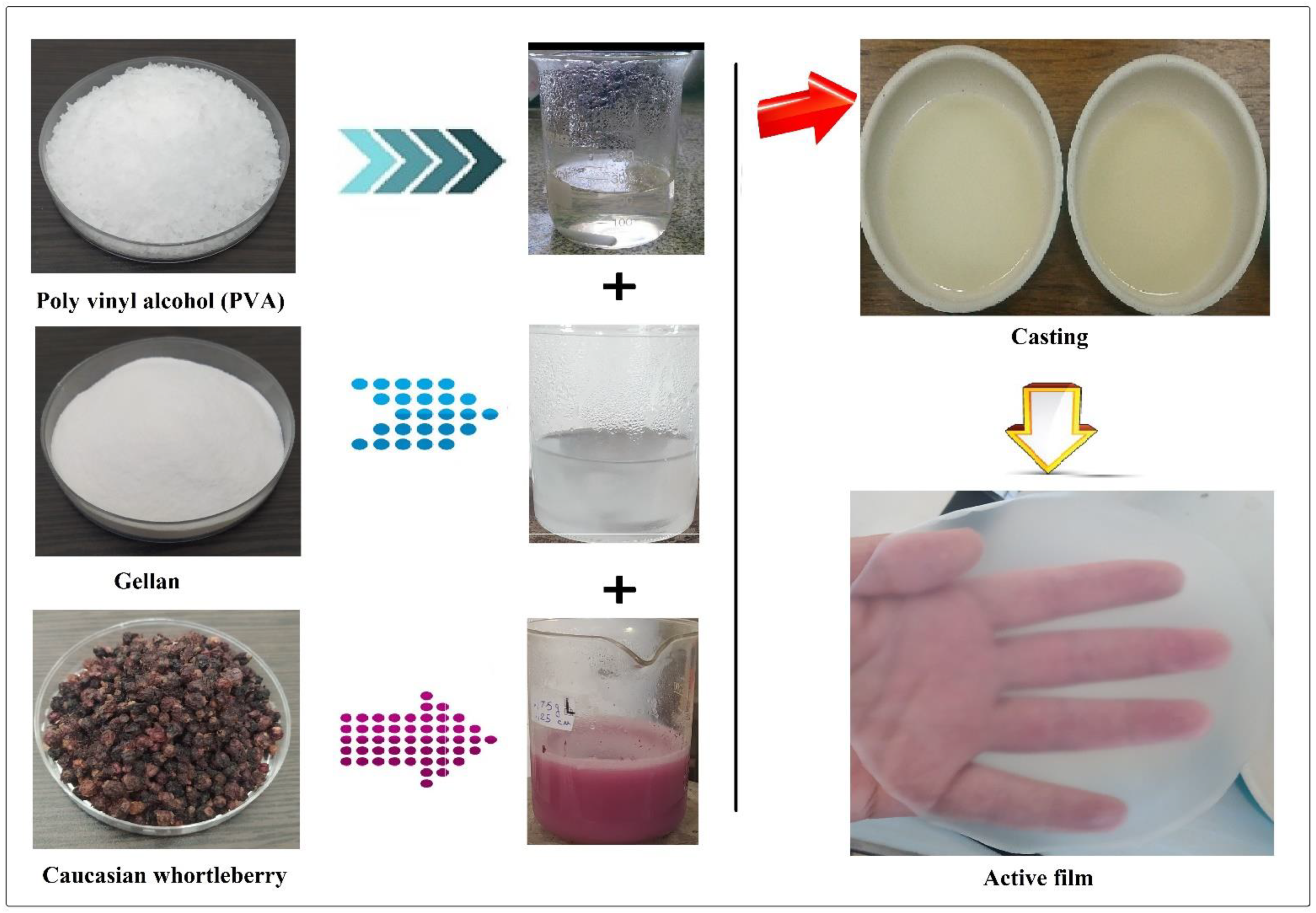 Foods 11 03553 g001 Foods 11 03553 g001