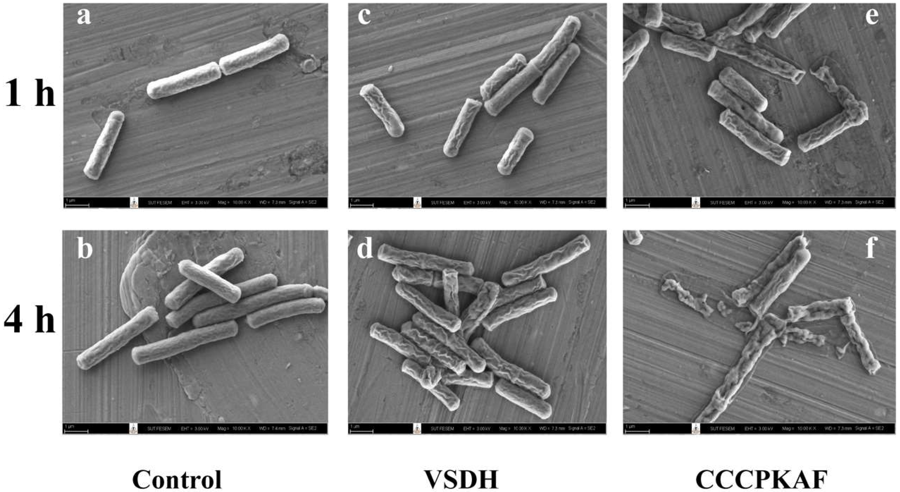 Foods 11 03564 g002 Foods 11 03564 g002