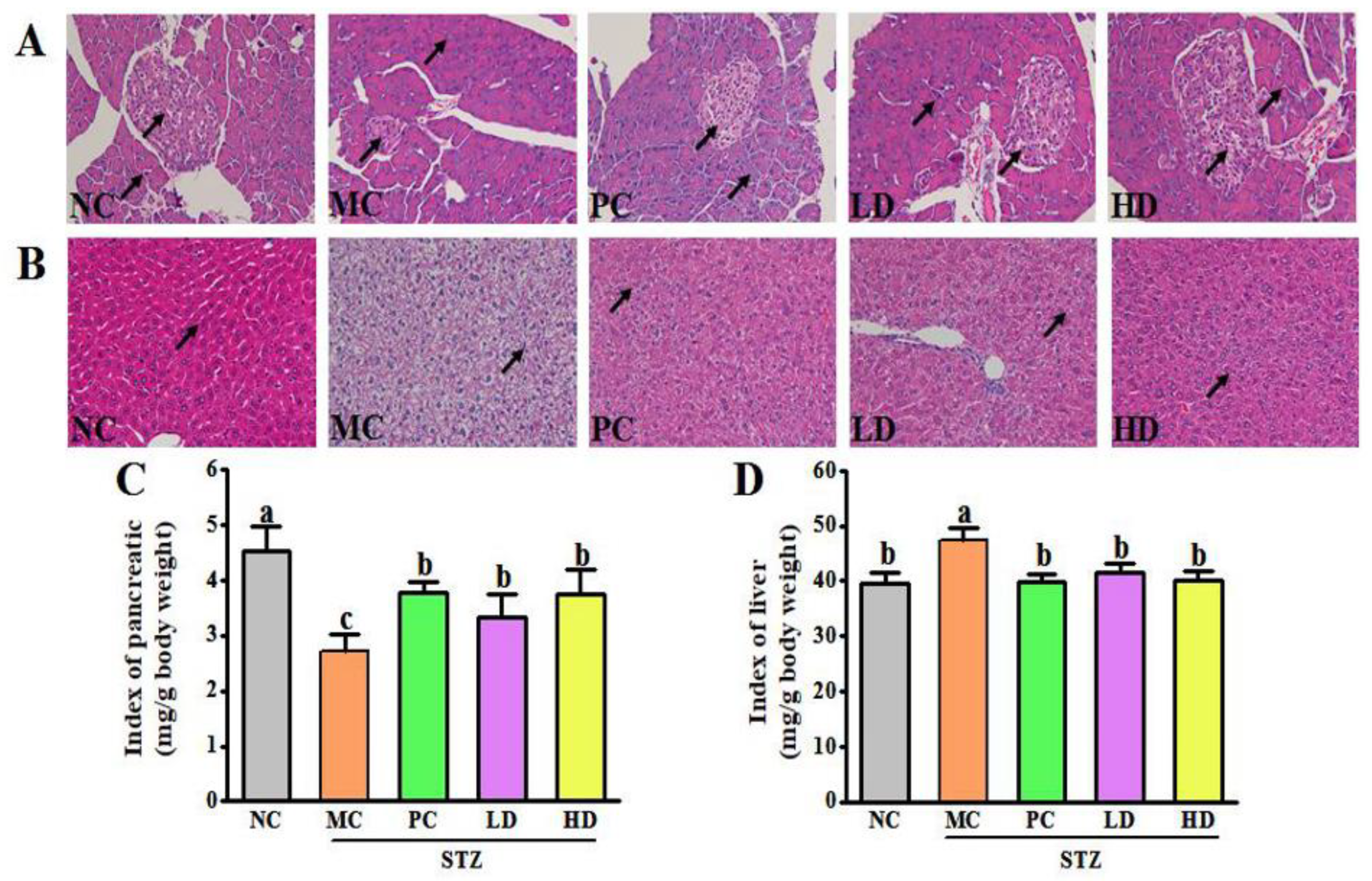 Foods 11 03571 g003 Foods 11 03571 g003