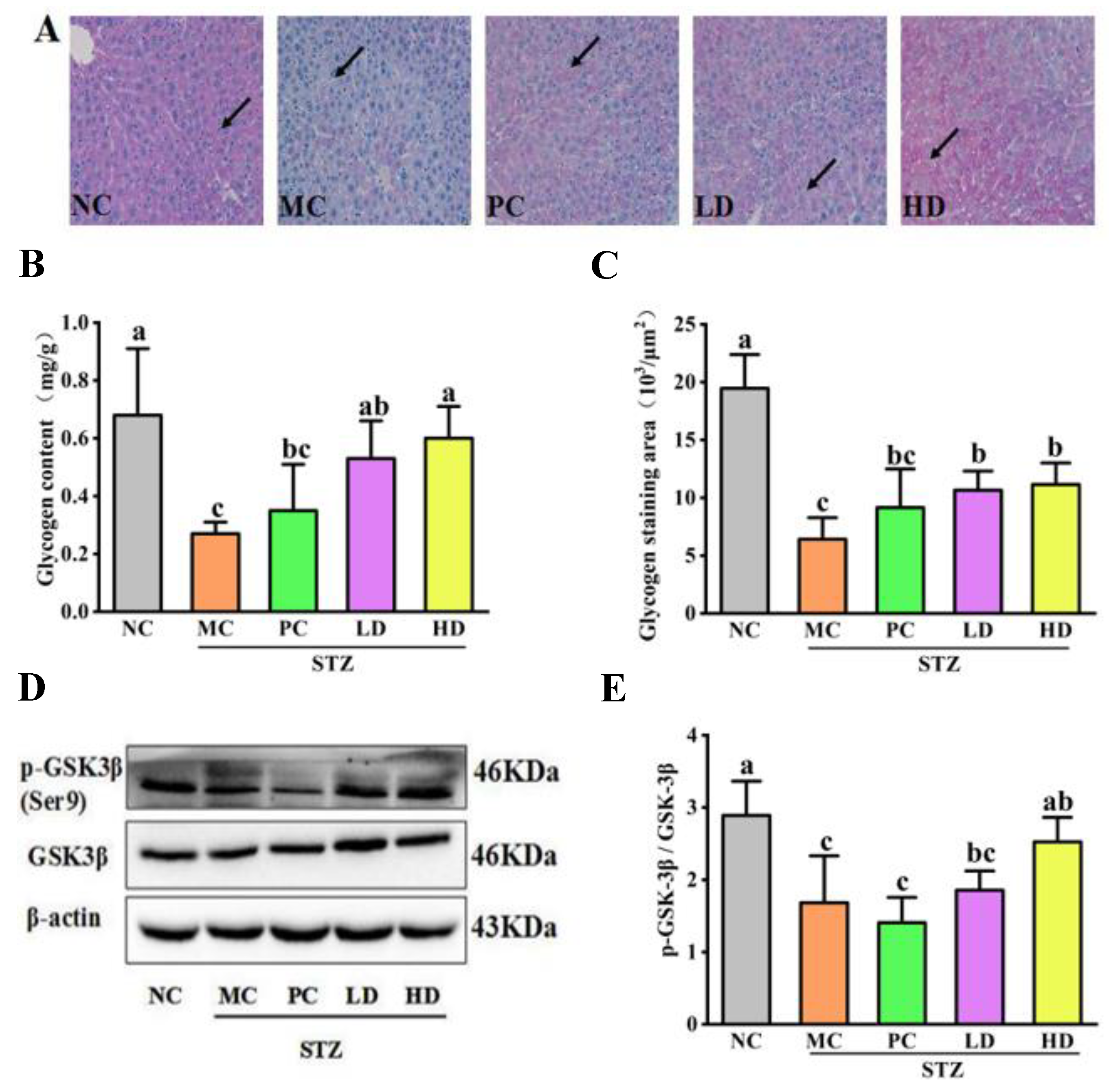 Foods 11 03571 g004 Foods 11 03571 g004