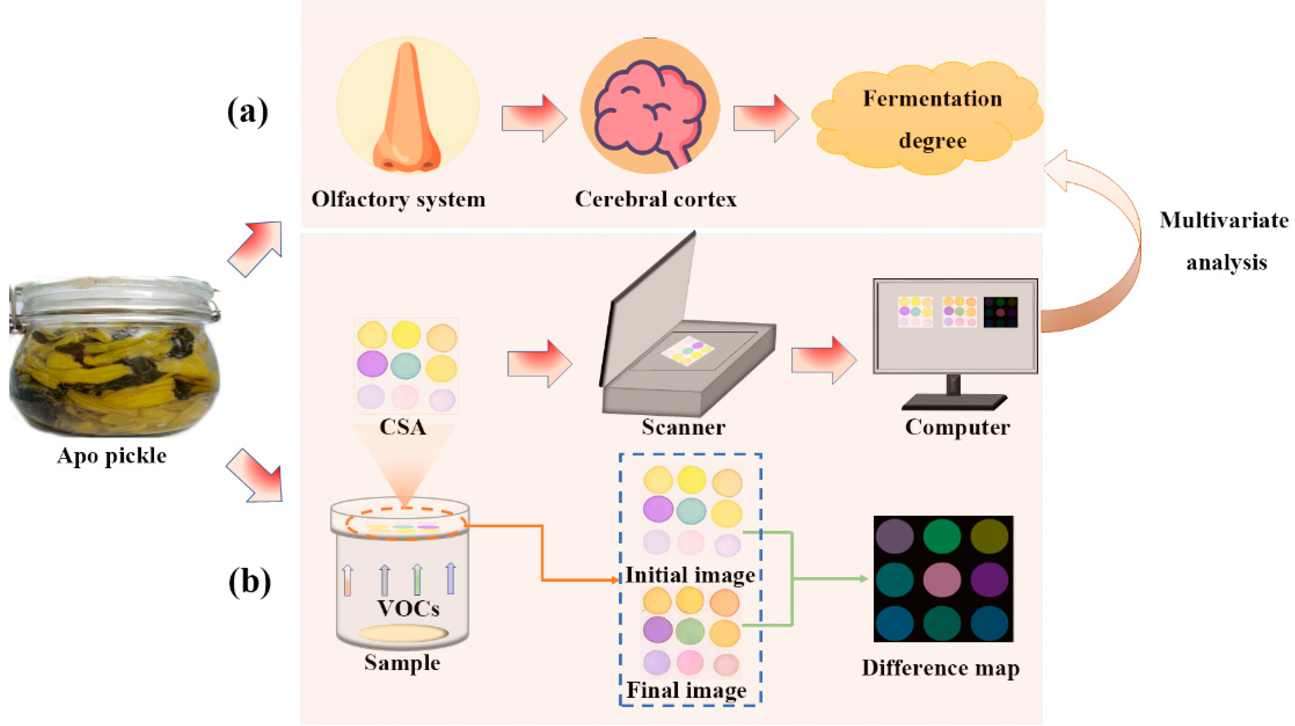 Foods 11 03577 g001 Foods 11 03577 g001