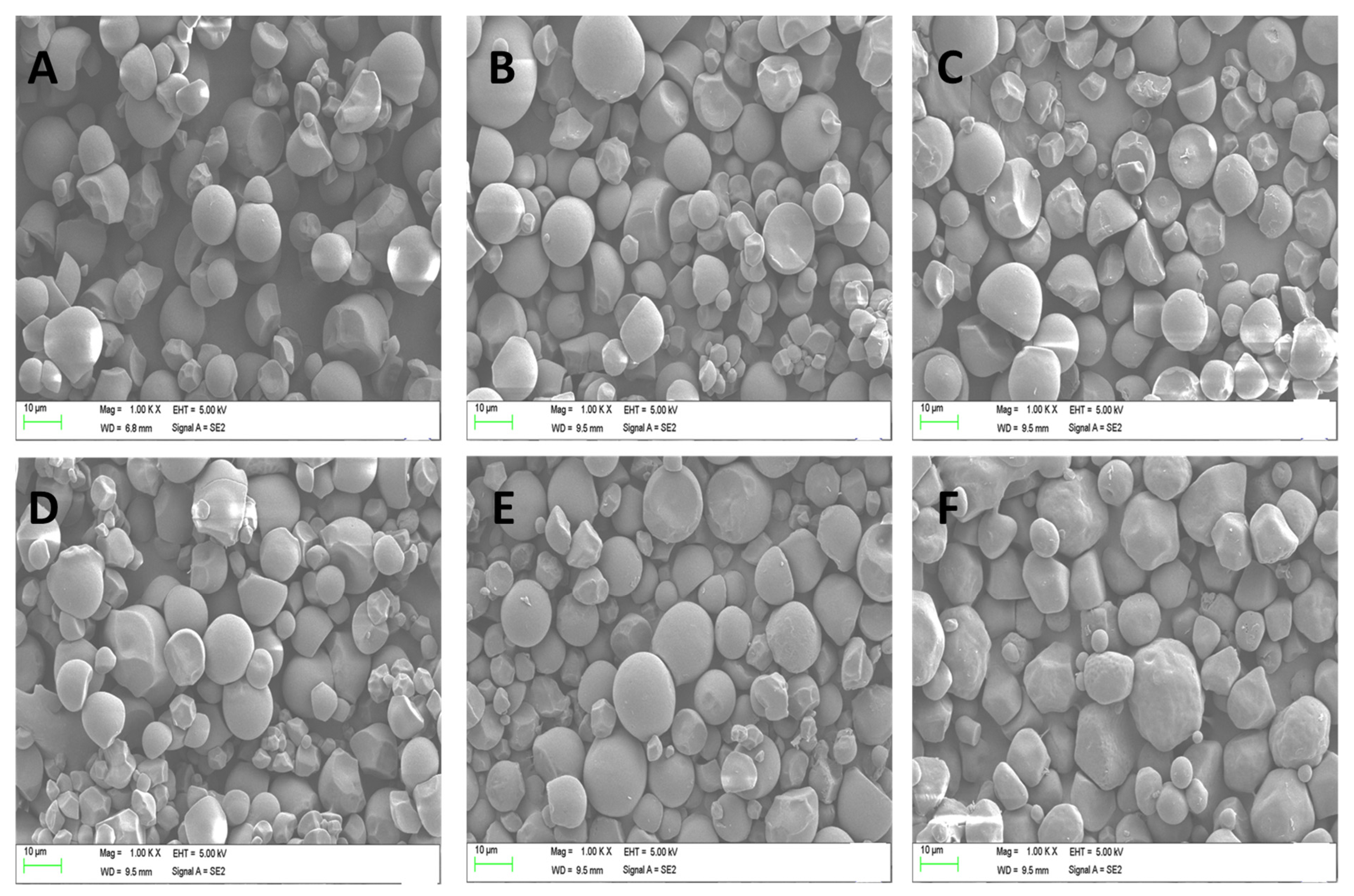 Foods 11 03591 g002 Foods 11 03591 g002