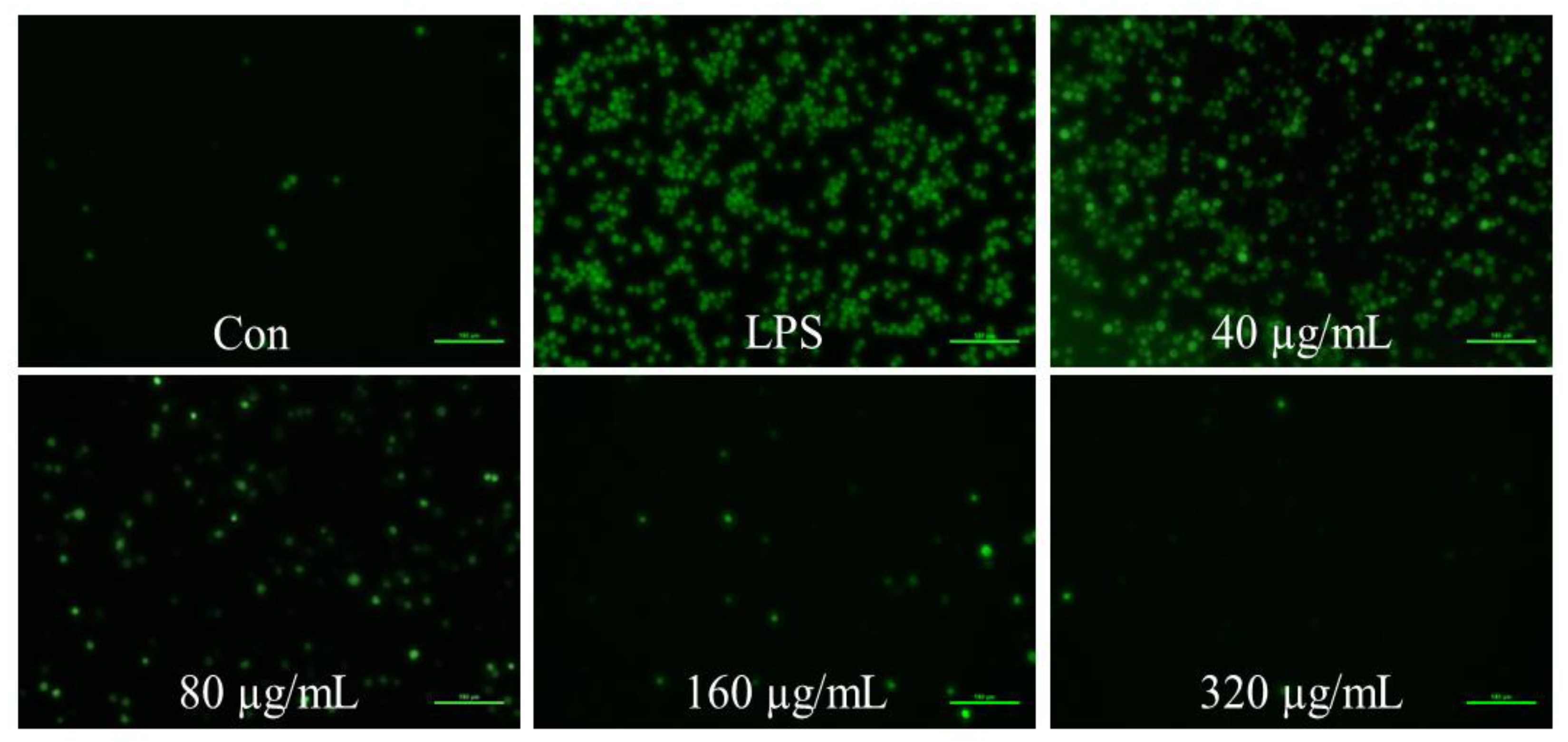 Foods 11 03607 g002 Foods 11 03607 g002