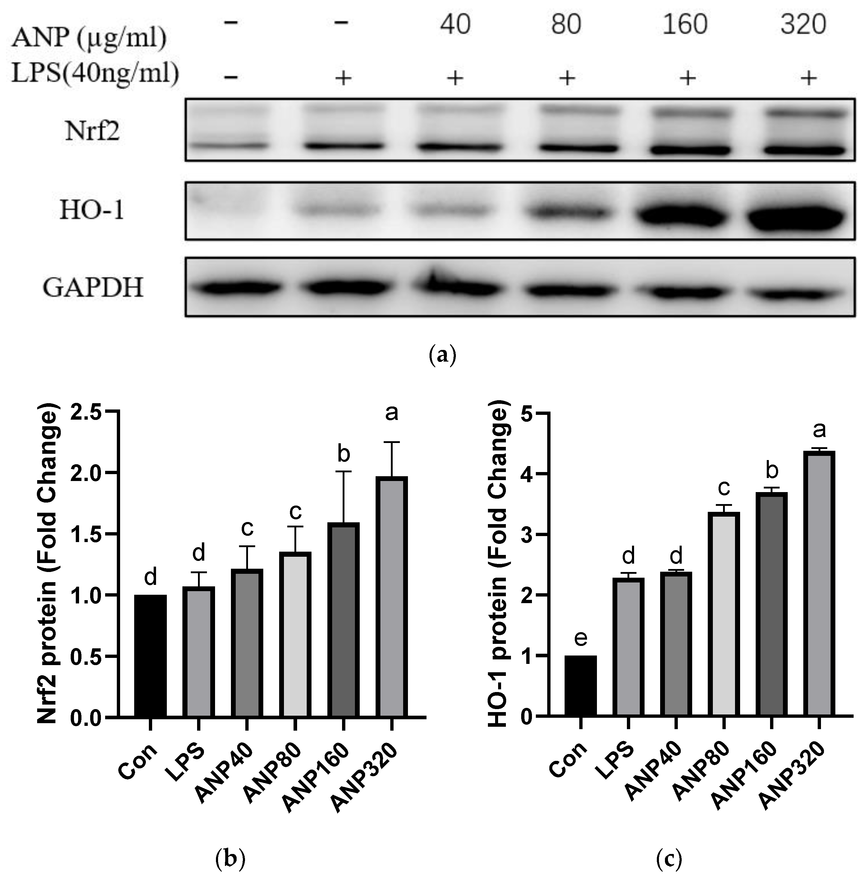 Foods 11 03607 g003 Foods 11 03607 g003