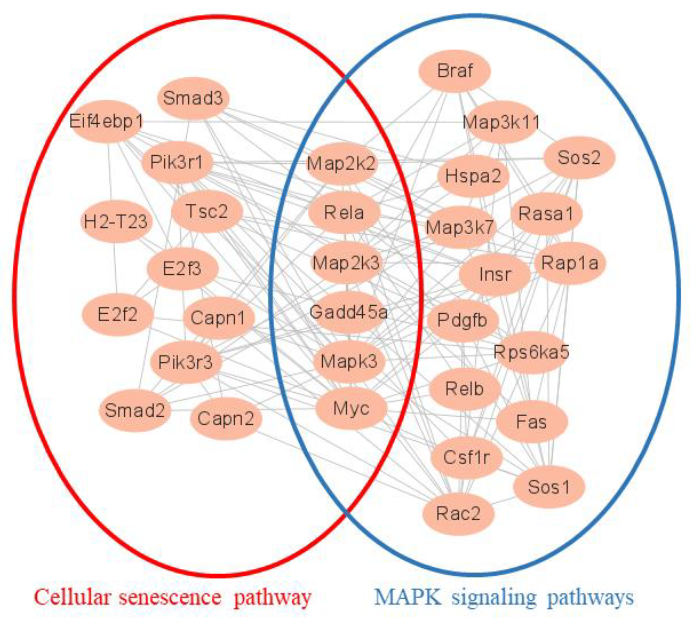 Foods 11 03607 g006 Foods 11 03607 g006